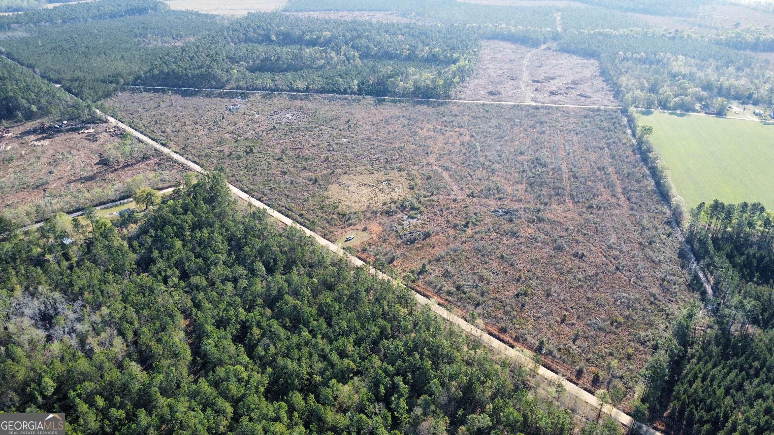 0 Graham Knight Road Reidsville, GA 30453 - Photo 1 of 11