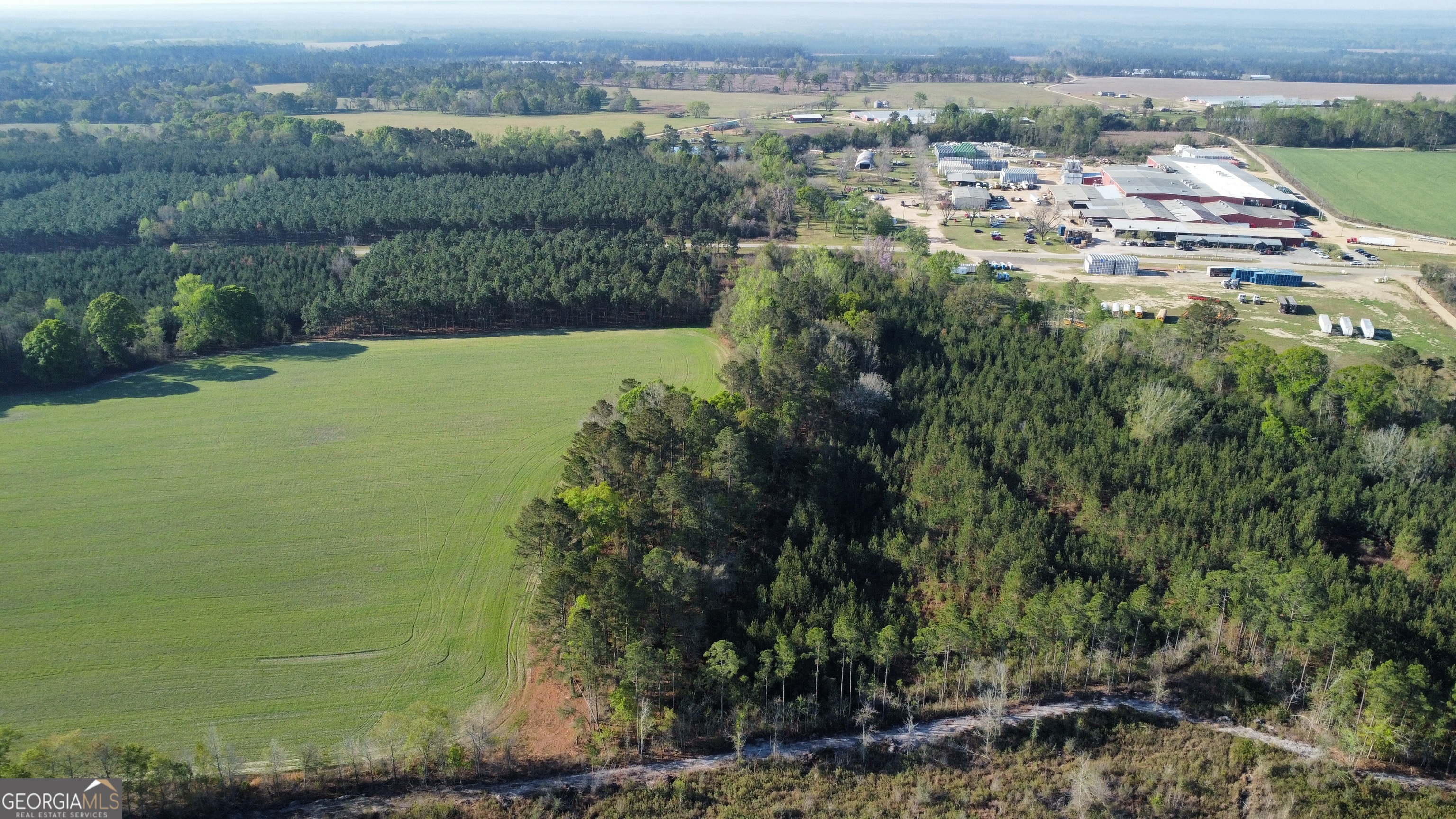 0 Graham Knight Road Reidsville, GA 30453 - Photo 11 of 11