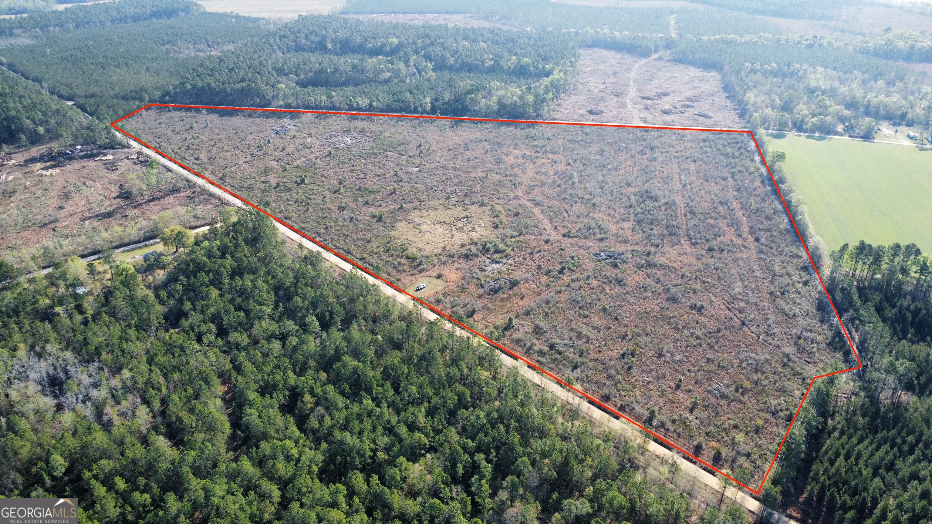 0 Graham Knight Road Reidsville, GA 30453 - Photo 2 of 11