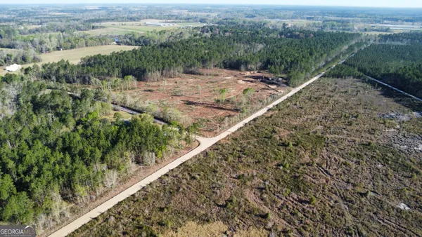 a view of a forest with a forest