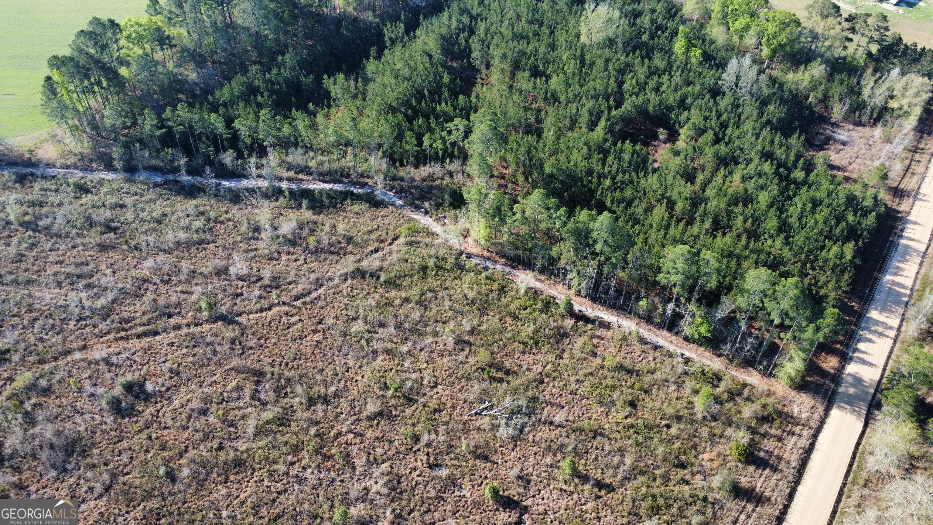 0 Graham Knight Road Reidsville, GA 30453 - Photo 4 of 11