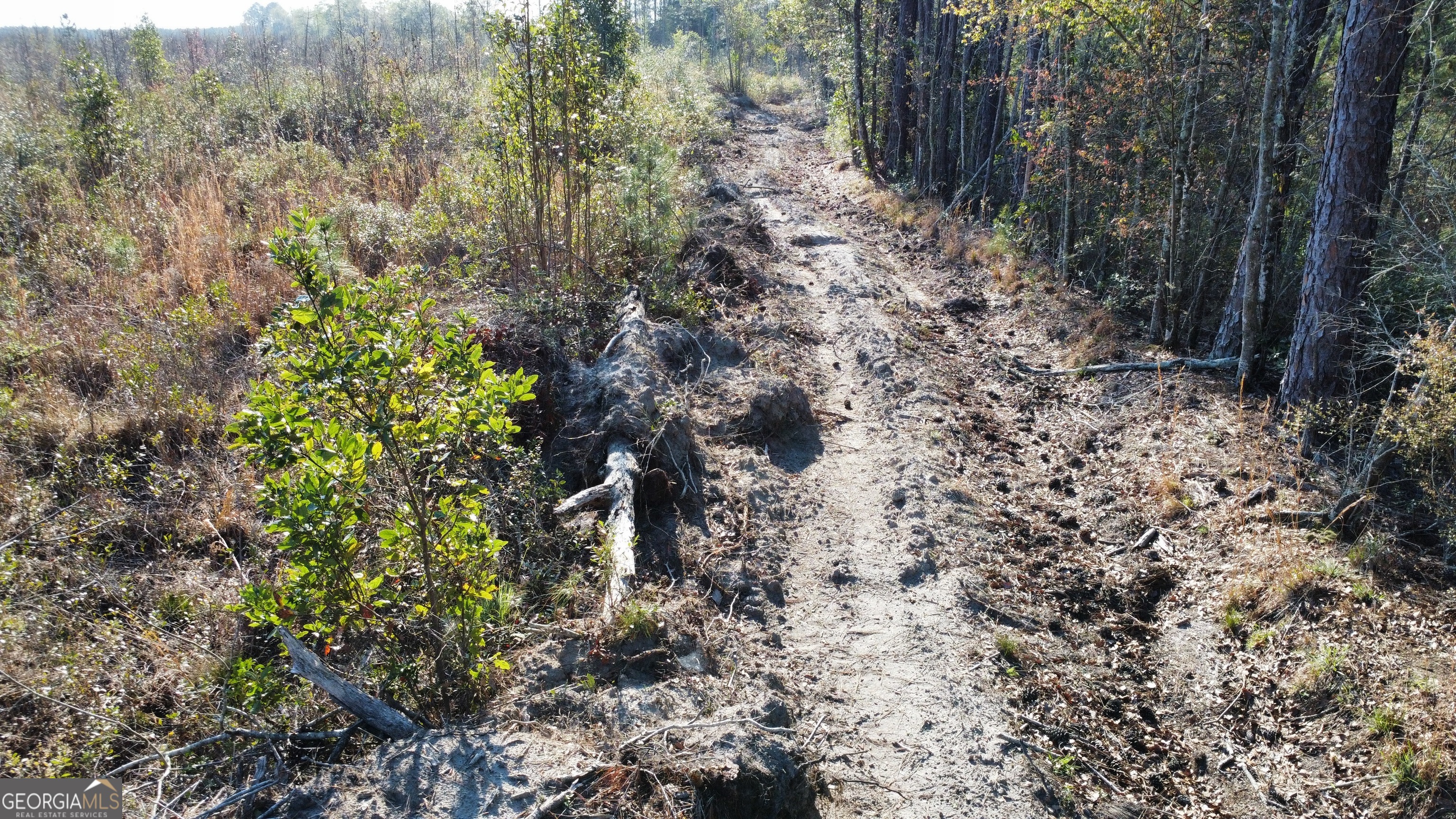 0 Graham Knight Road Reidsville, GA 30453 - Photo 5 of 11