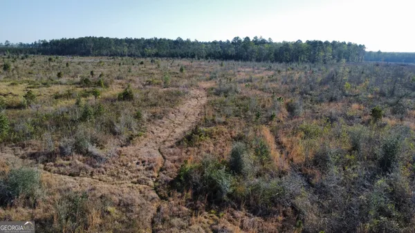a view of a field with trees