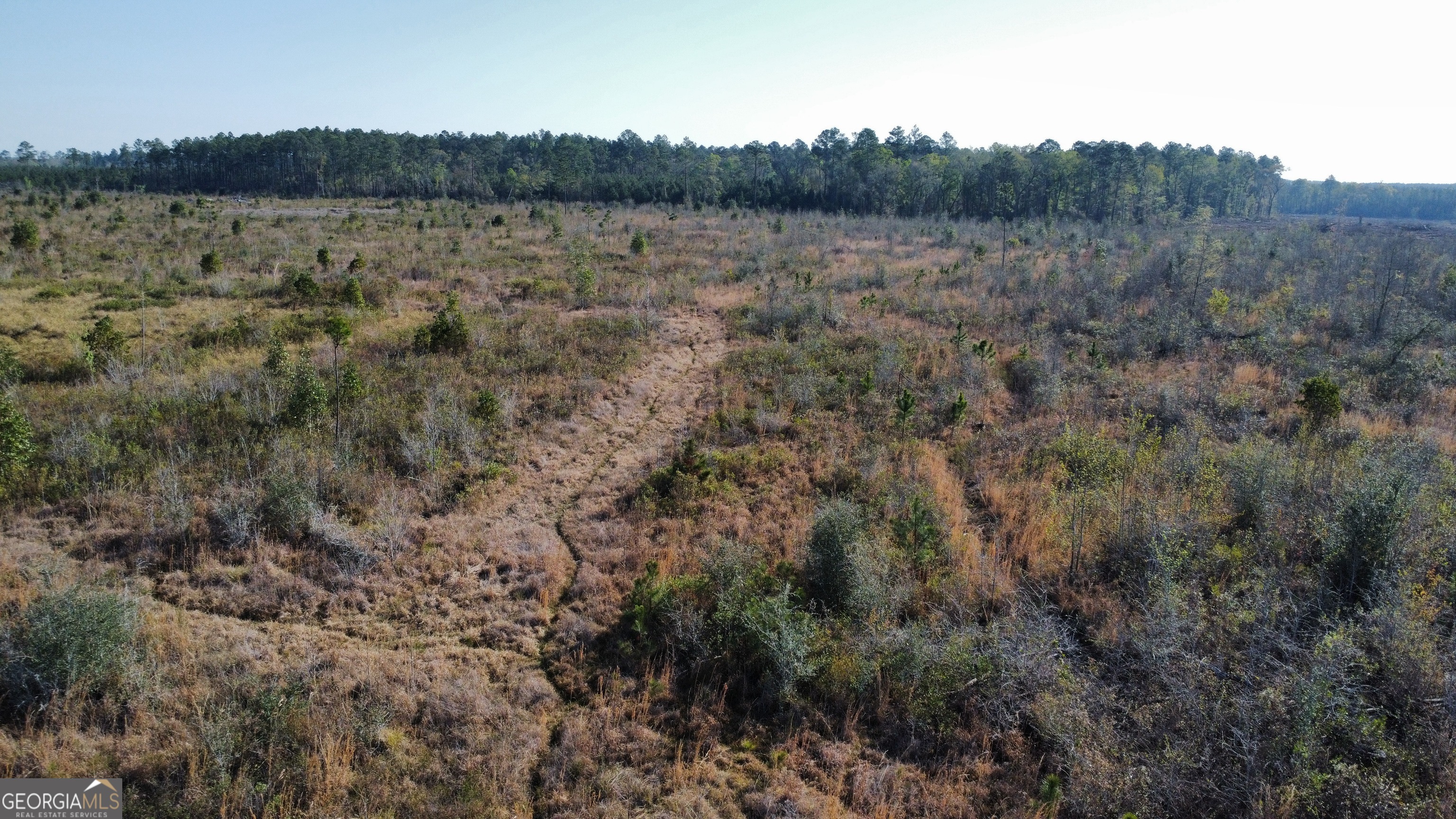 0 Graham Knight Road Reidsville, GA 30453 - Photo 6 of 11