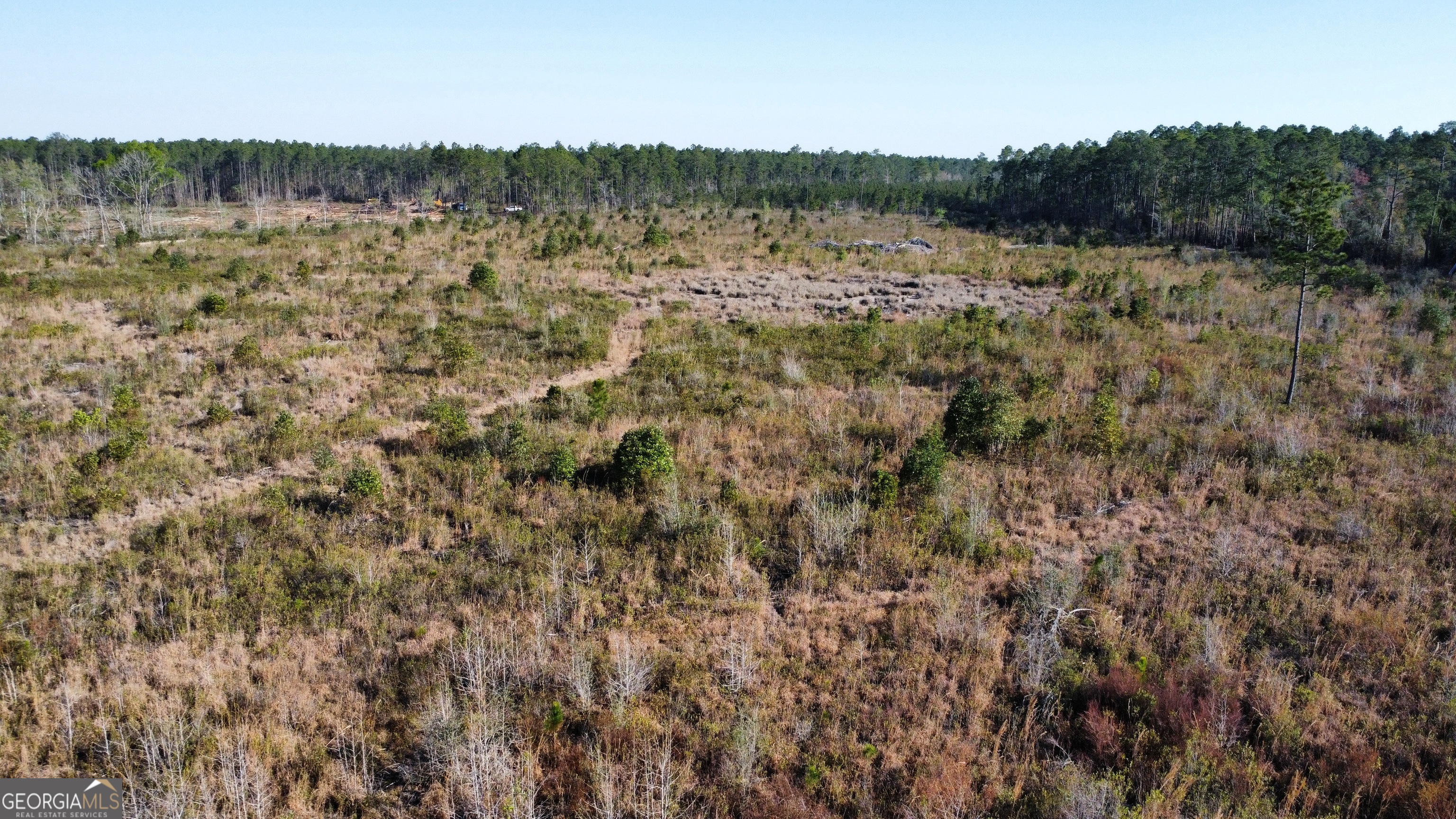 0 Graham Knight Road Reidsville, GA 30453 - Photo 7 of 11