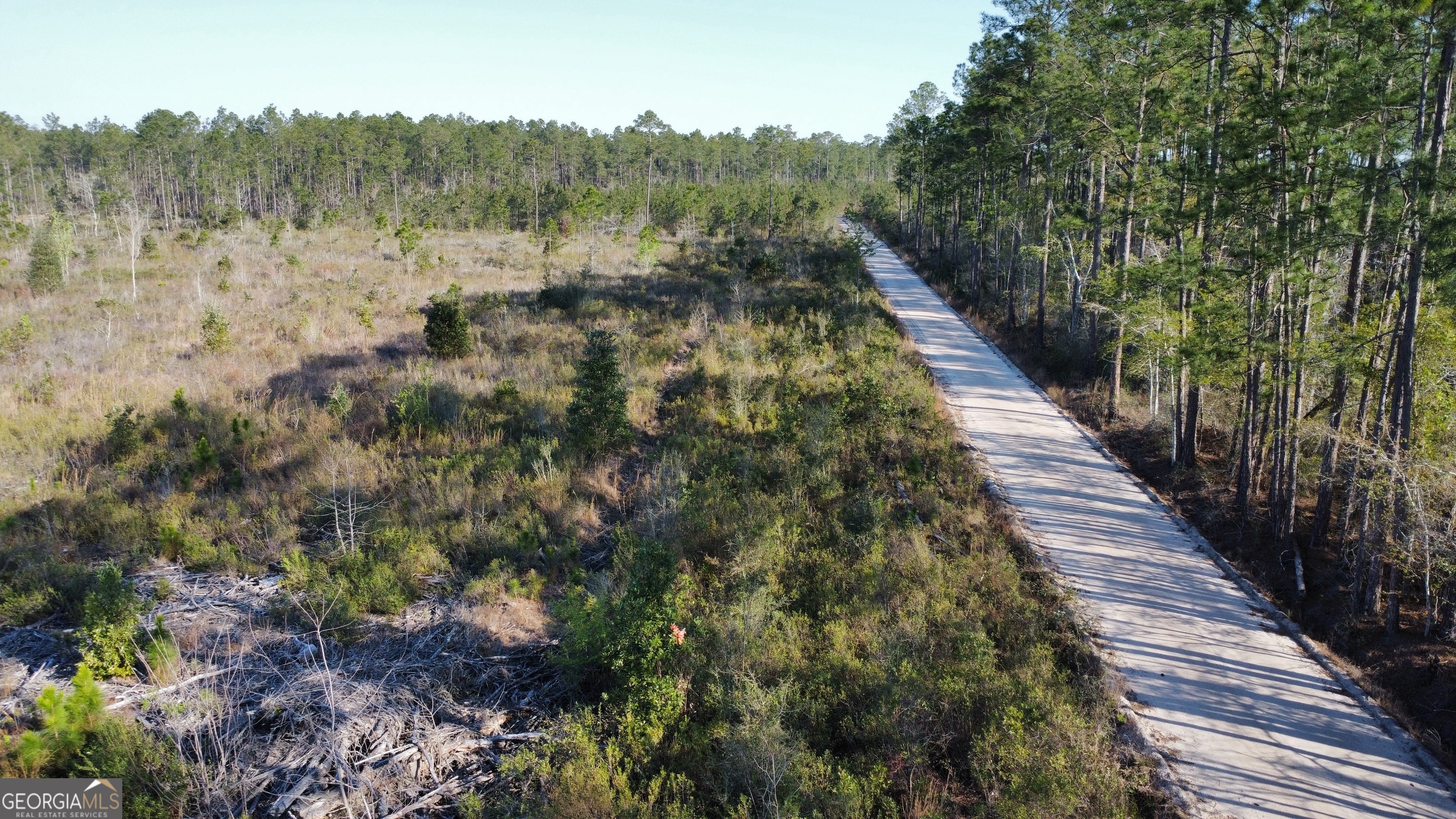 0 Graham Knight Road Reidsville, GA 30453 - Photo 9 of 11