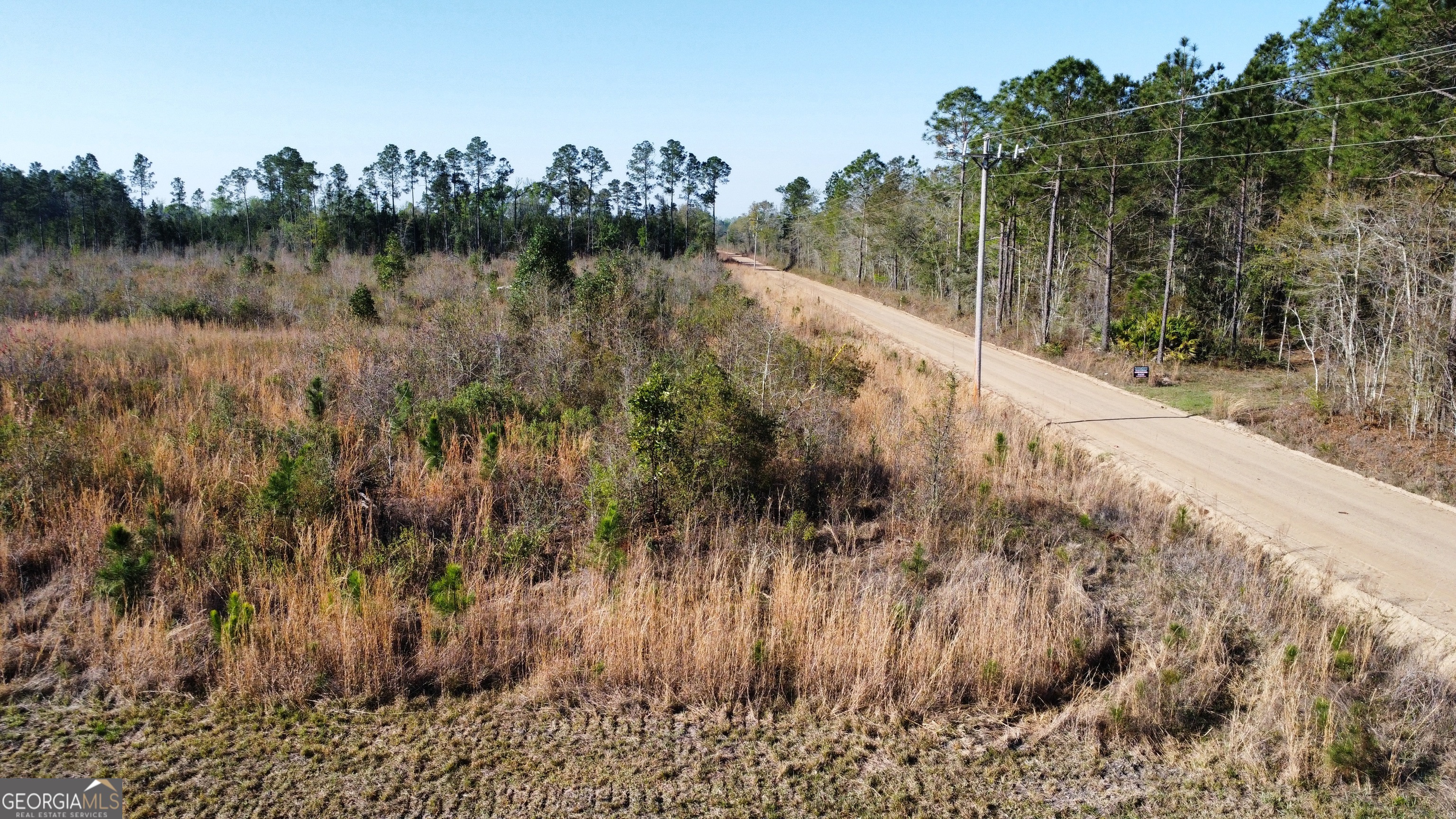 0 Graham Knight Road Reidsville, GA 30453 - Photo 10 of 11