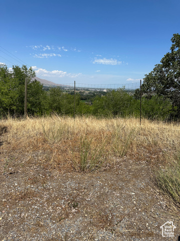 12700 South 3620 Street West Payson, UT 84651 - Photo 4 of 5 View of local wilderness with mountains