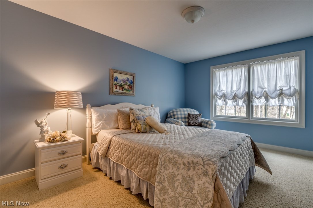 12451 Carter Road Painesville, OH 44077 - Photo 19 of 29 Gallery Image 19