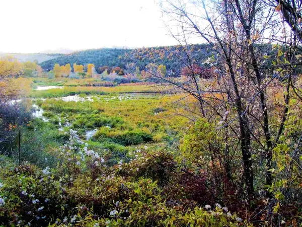 $200,000 | 330 Highway 330 East, Collbran, CO 81624