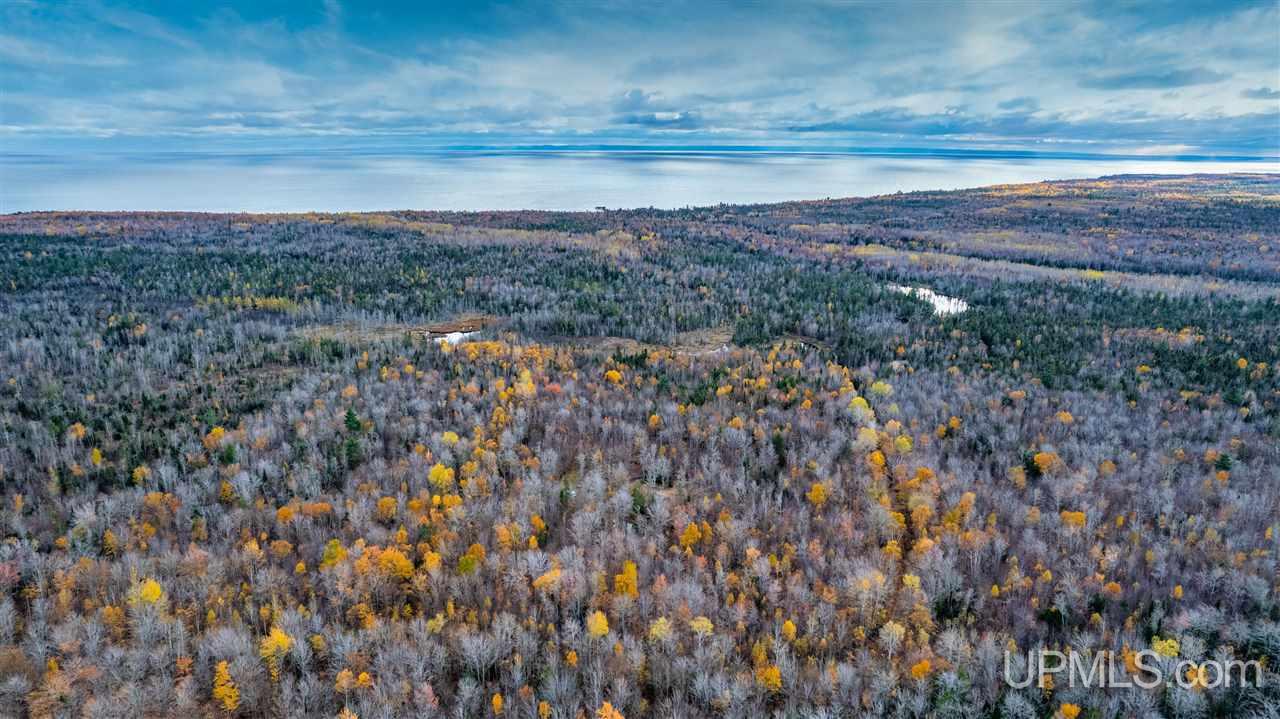Tbd Tbd Iron Gate Road Mohawk, MI 49950 - Photo 3 of 17