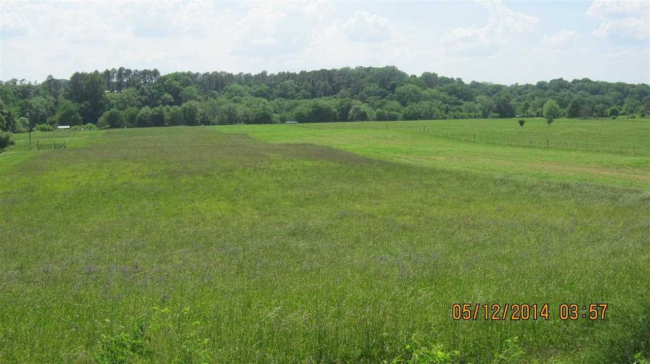 0 Patty Road Benton, TN 37307 - Photo 1 of 1
