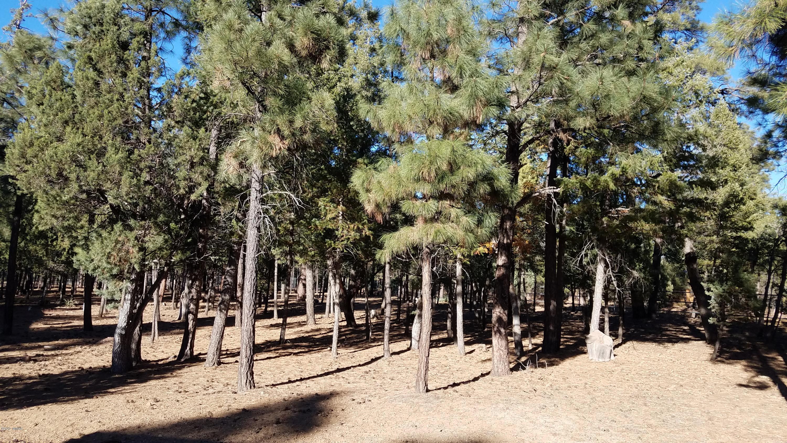 4857 Rim Spur Lakeside, AZ 85929 - Photo 57 of 82 Gallery Image 57