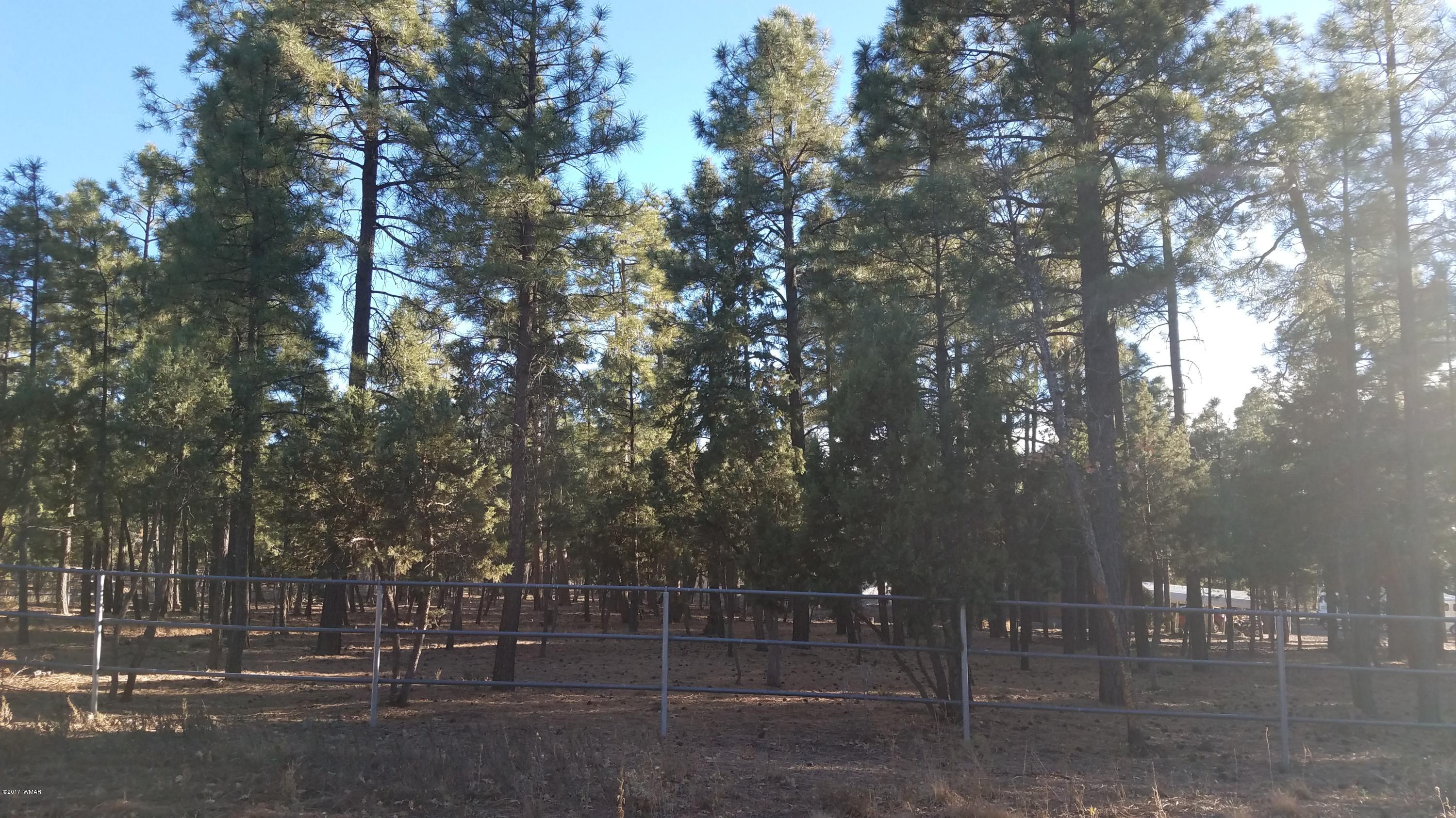 4857 Rim Spur Lakeside, AZ 85929 - Photo 79 of 82 Gallery Image 79