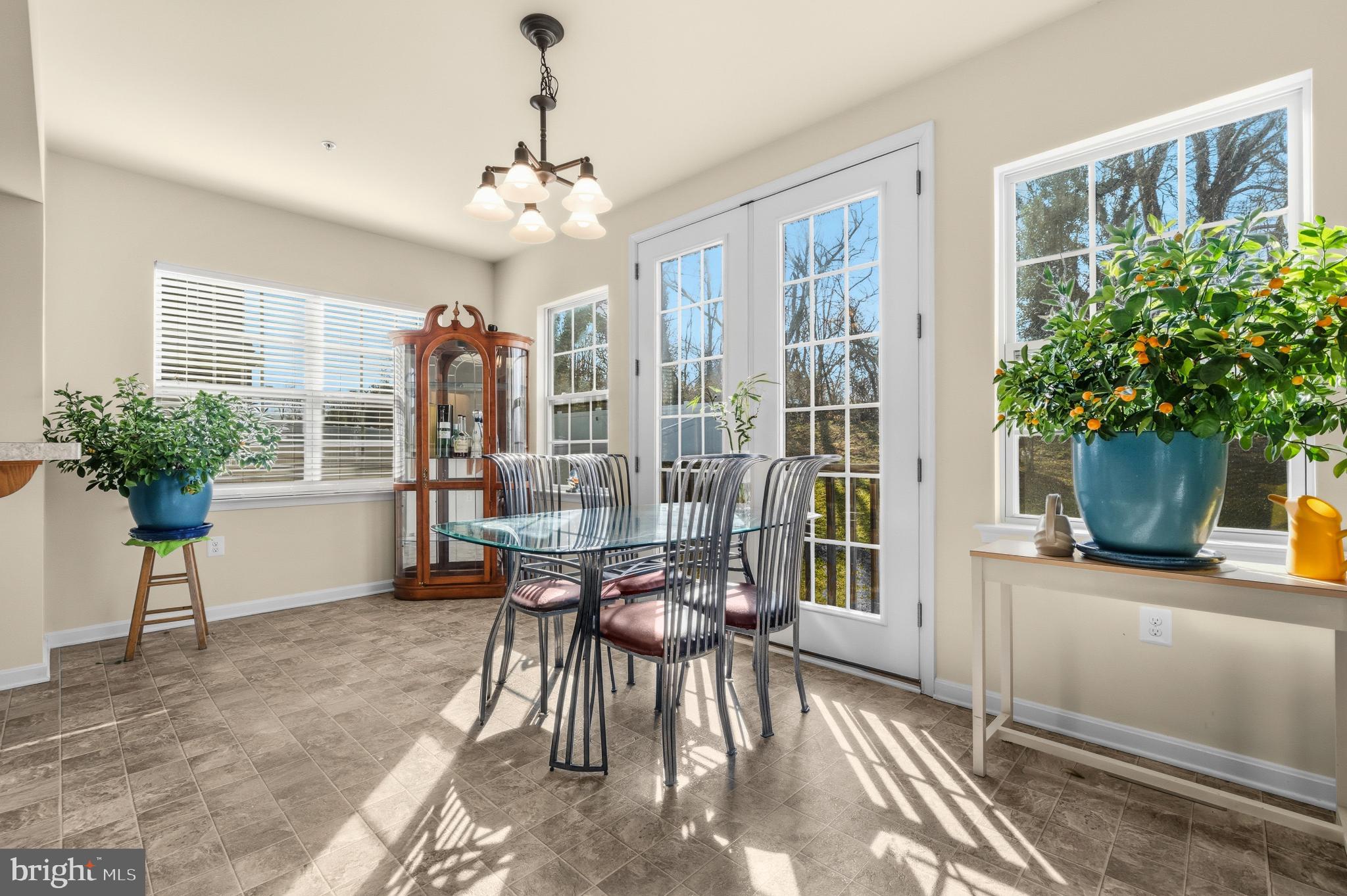 41377 Doctors Crossing Road Leonardtown, MD 20650 - Photo 16 of 62 Bright sunlit, back to trees and common area