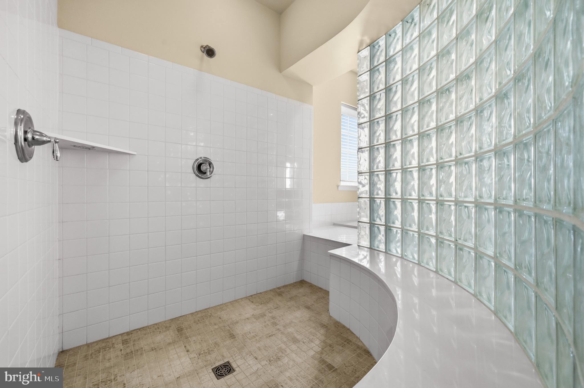 41377 Doctors Crossing Road Leonardtown, MD 20650 - Photo 36 of 62 Oversized modern shower with glass block accents.