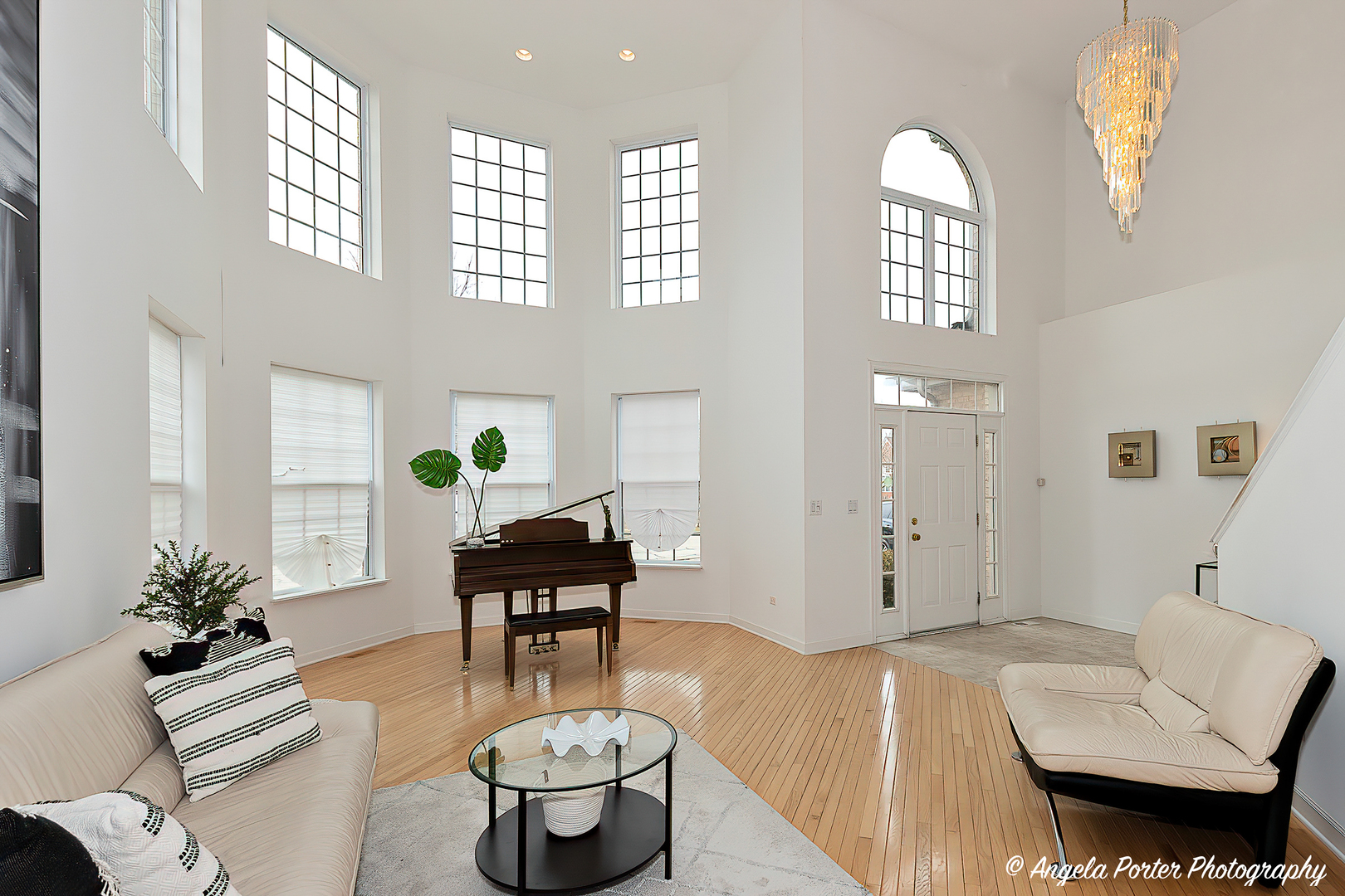 1340 Horizon Trail Wheeling, IL 60090 - Photo 4 of 27 a living room with furniture and a potted plant