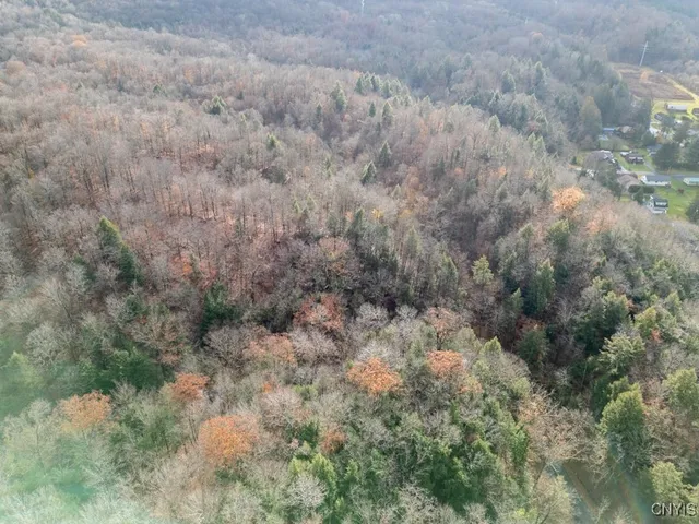 $30,000 | Buchanan Street, Ilion, NY 13357