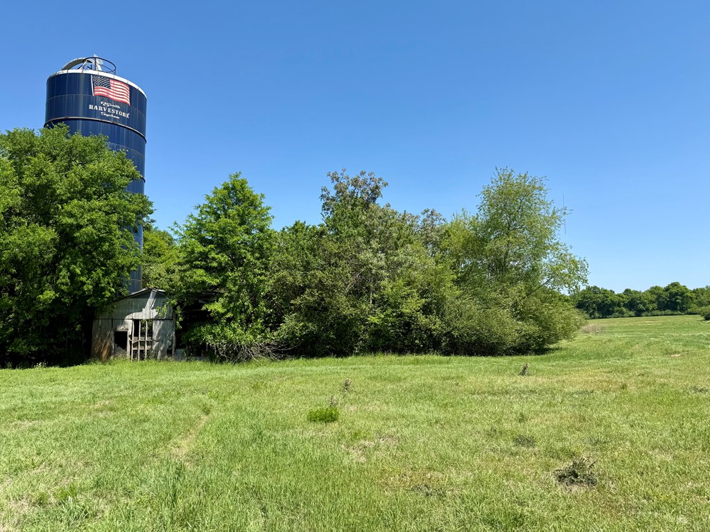 11.25-acres Huskey Road Dothan, AL 36303 - Photo 11 of 13