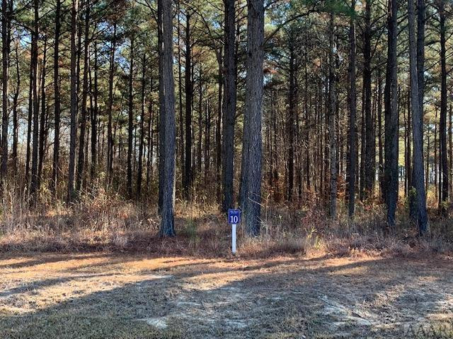 136 Riversound Drive Edenton, NC 27932 - Photo 3 of 14