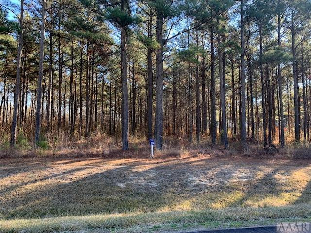 136 Riversound Drive Edenton, NC 27932 - Photo 9 of 14