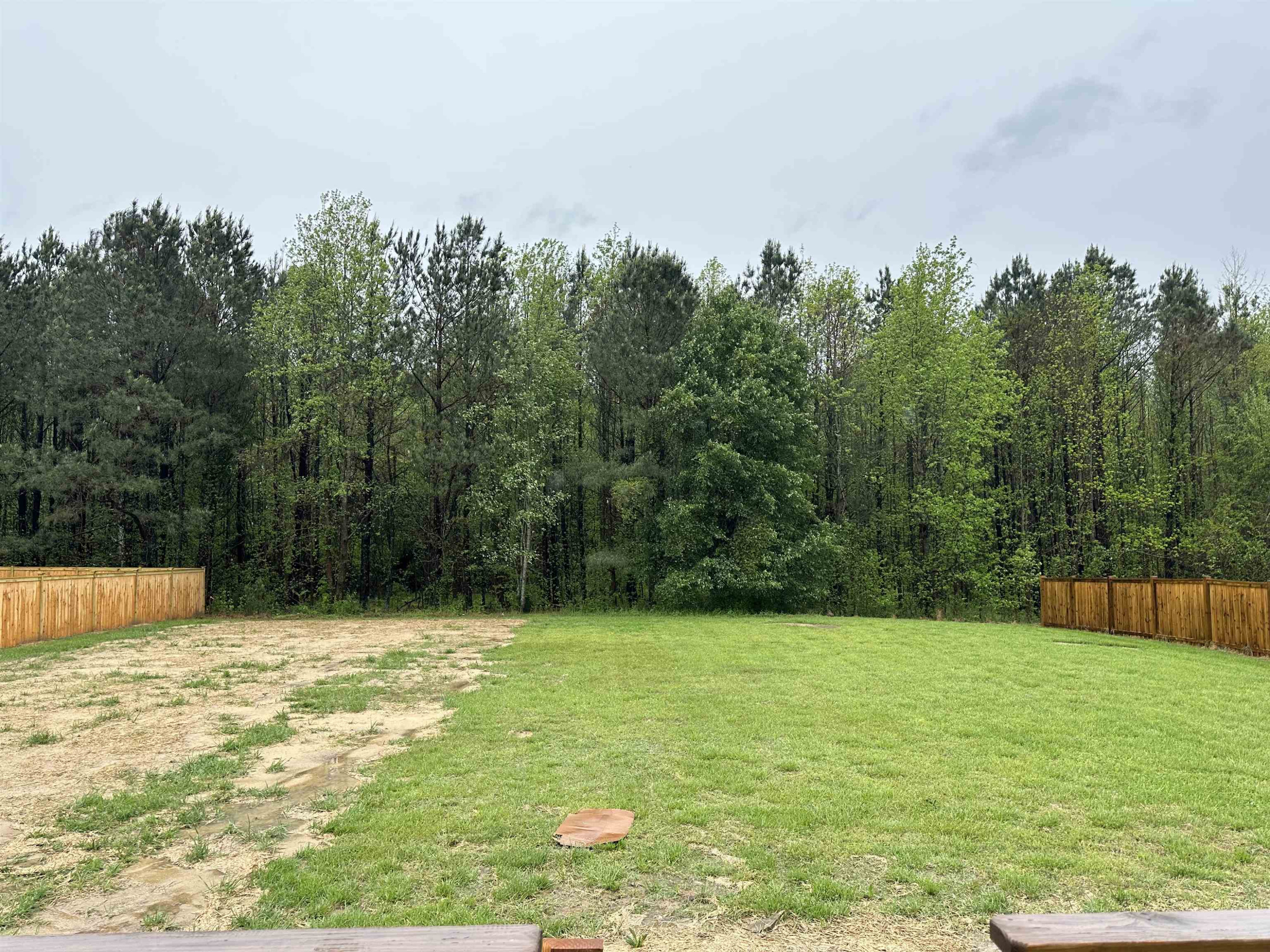 4432 Beckel Road Willow Spring, NC 27592 - Photo 14 of 22 Back Yard