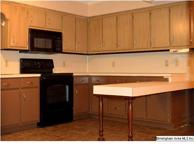 228 Dorr Road Oneonta, AL 35121 - Photo 6 of 22