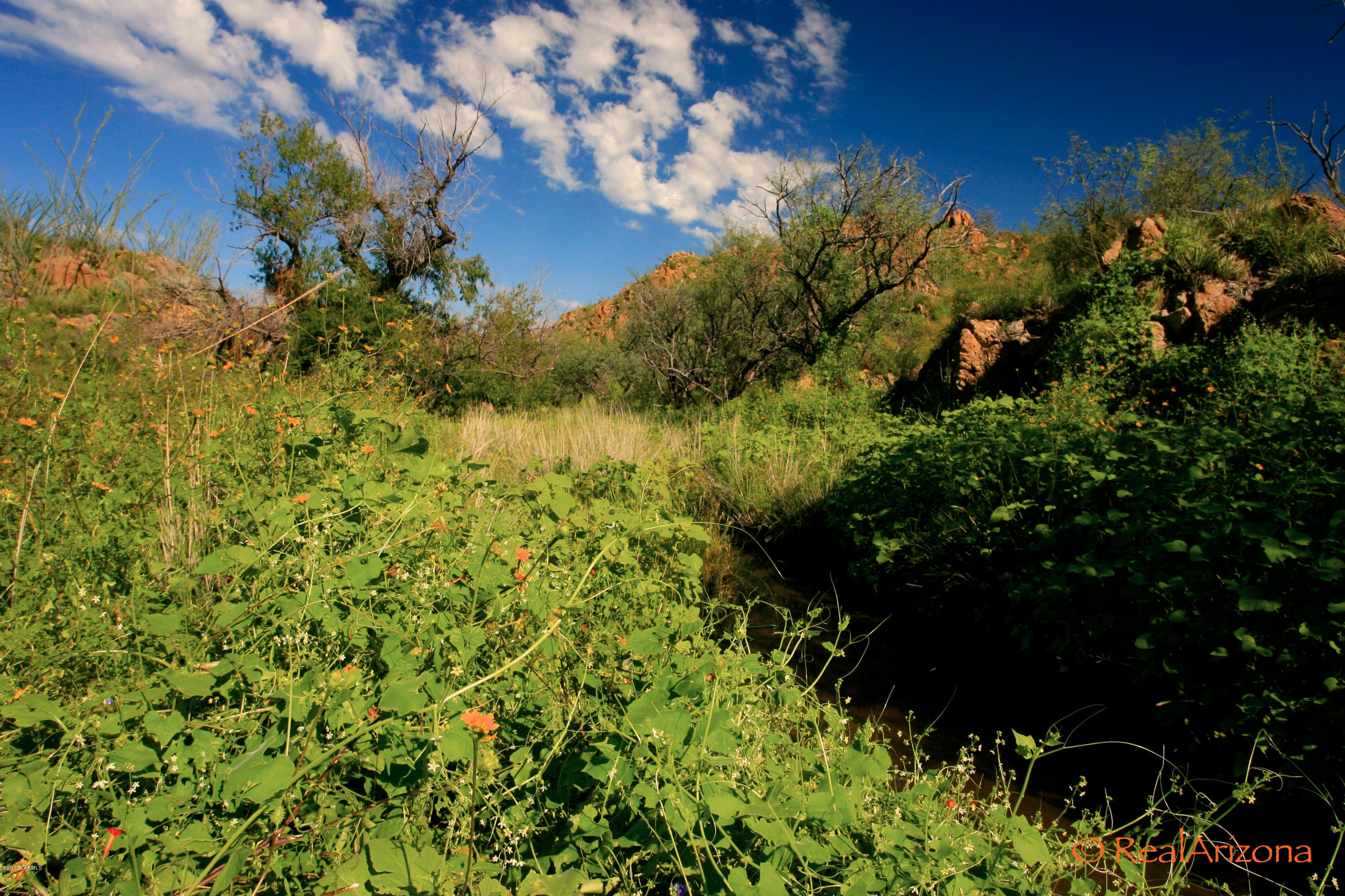 258 Grosvenor Road Rio Rico, AZ 85648 - Photo 13 of 20 Gallery Image 13