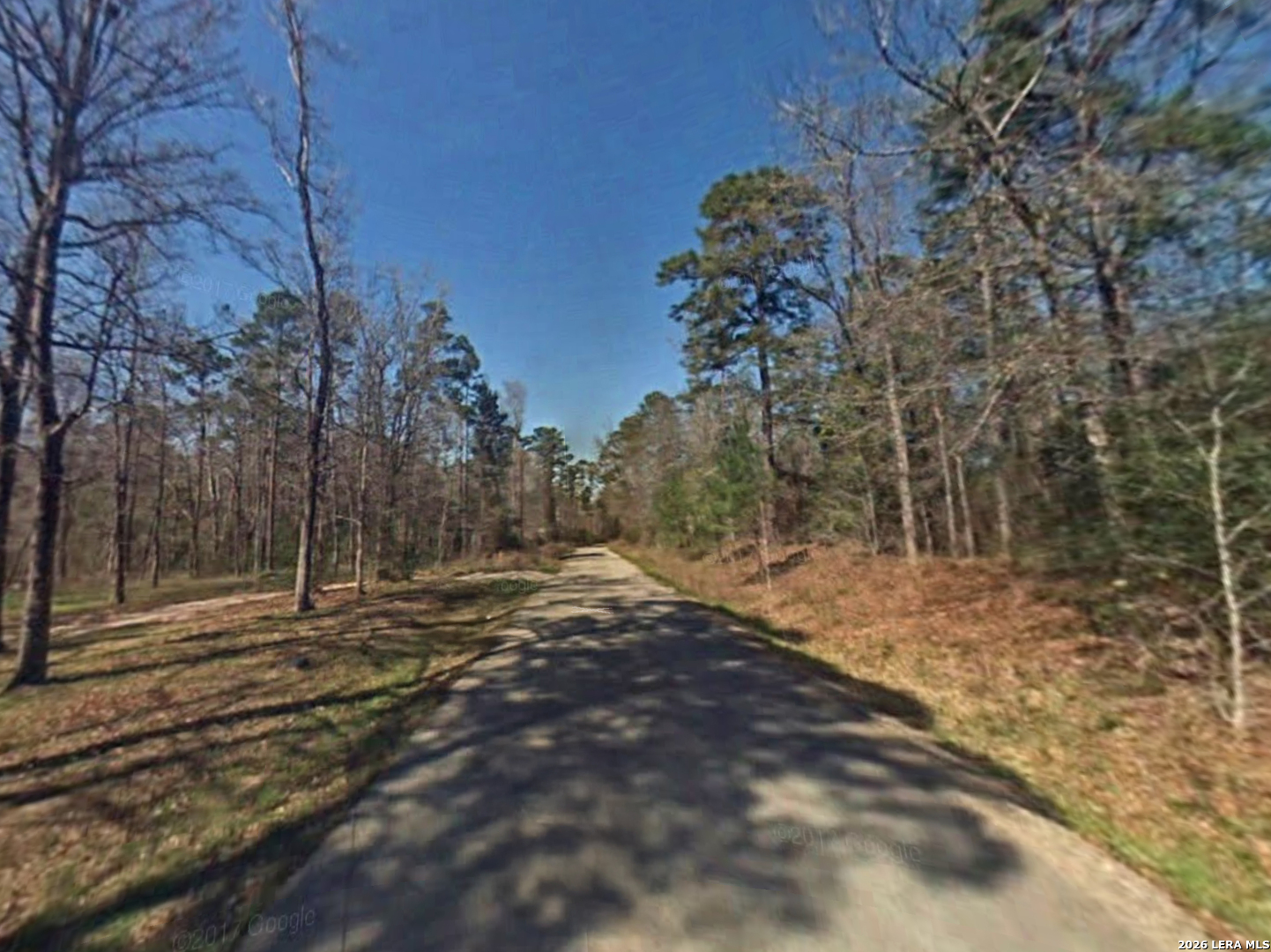 Tbd Austin Road Willis, TX 77378 - Photo 3 of 3 a view of a yard with trees