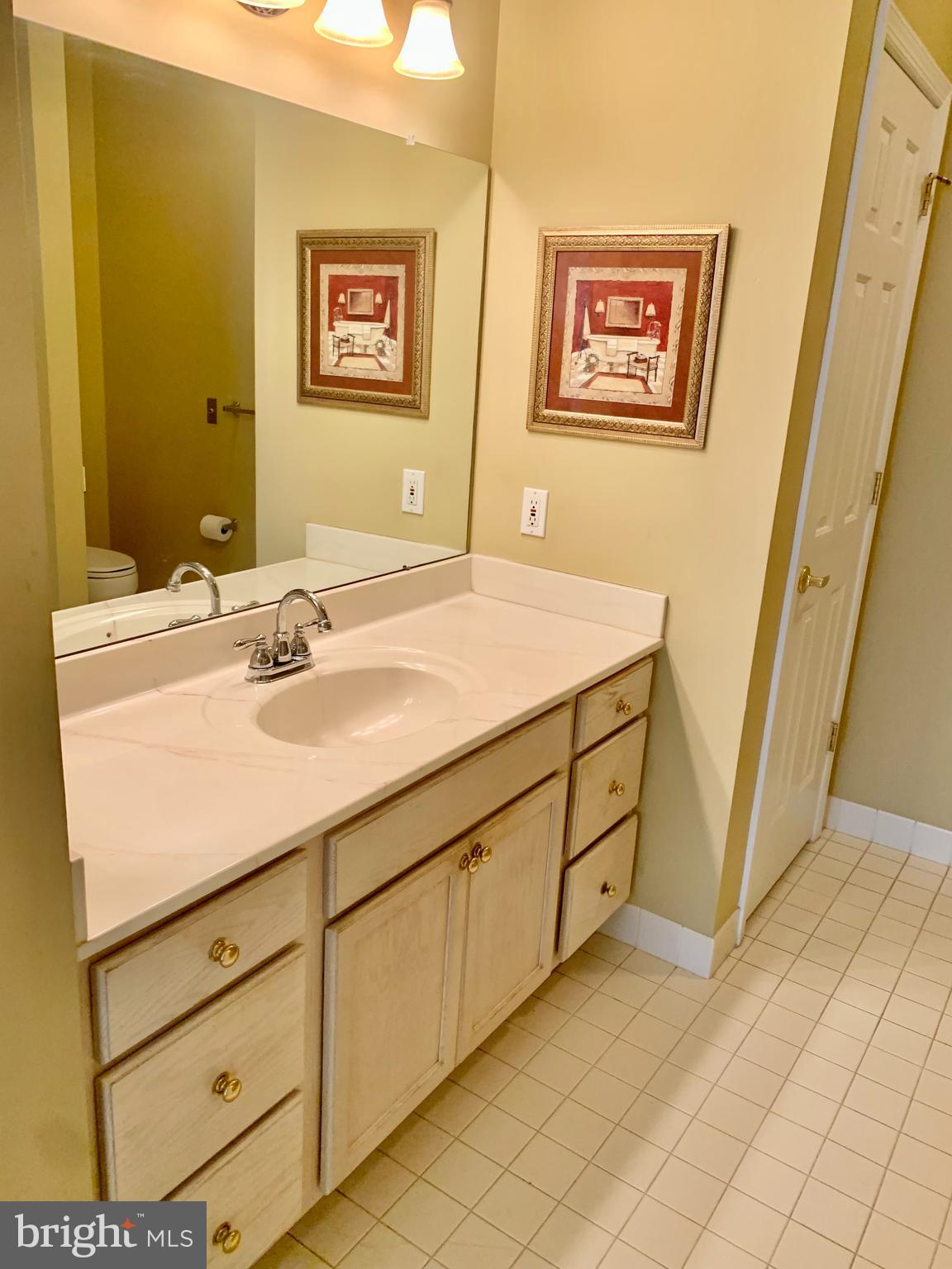 1619 Yorktown Road, Unit 49 Jamison, PA 18929 - Photo 15 of 39 Master bathroom