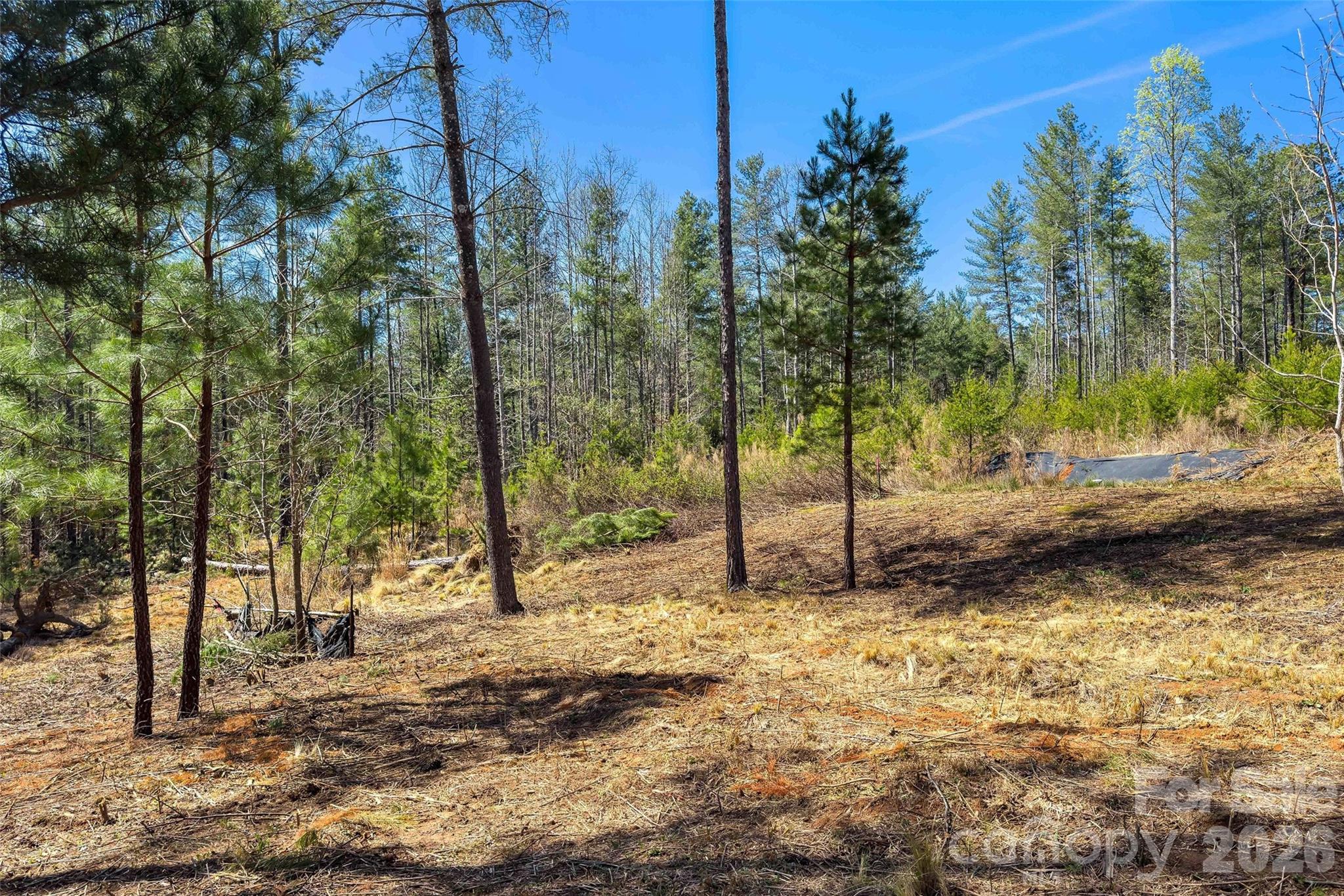 3107 Channel View Cove Morganton, NC 28655 - Photo 11 of 24 a view of a yard with trees
