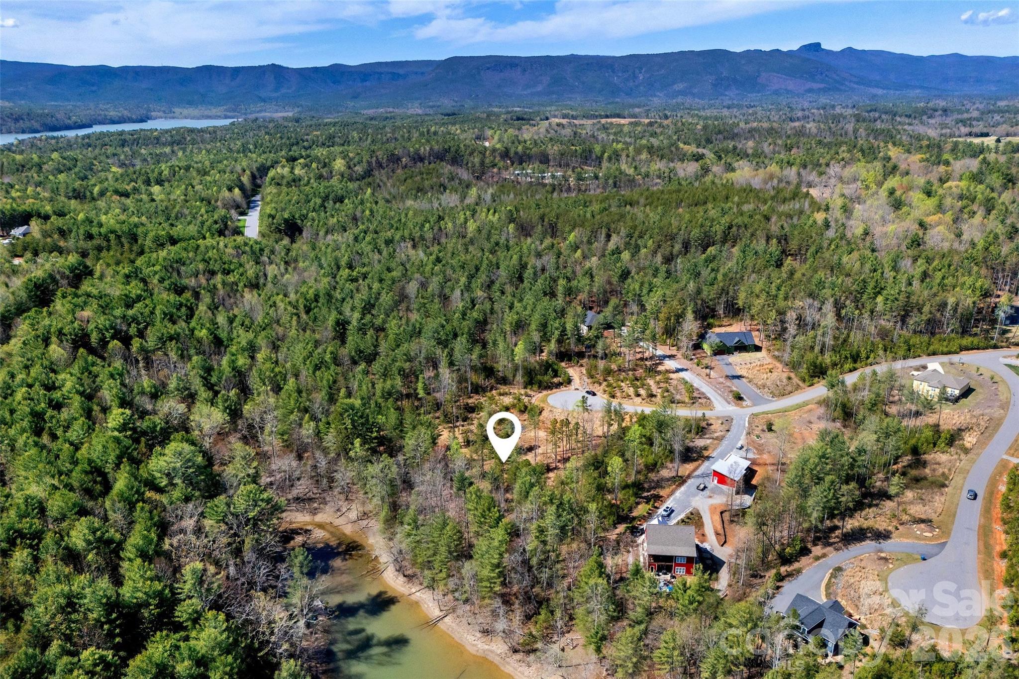 3107 Channel View Cove Morganton, NC 28655 - Photo 12 of 24 a view of a lush green forest with trees