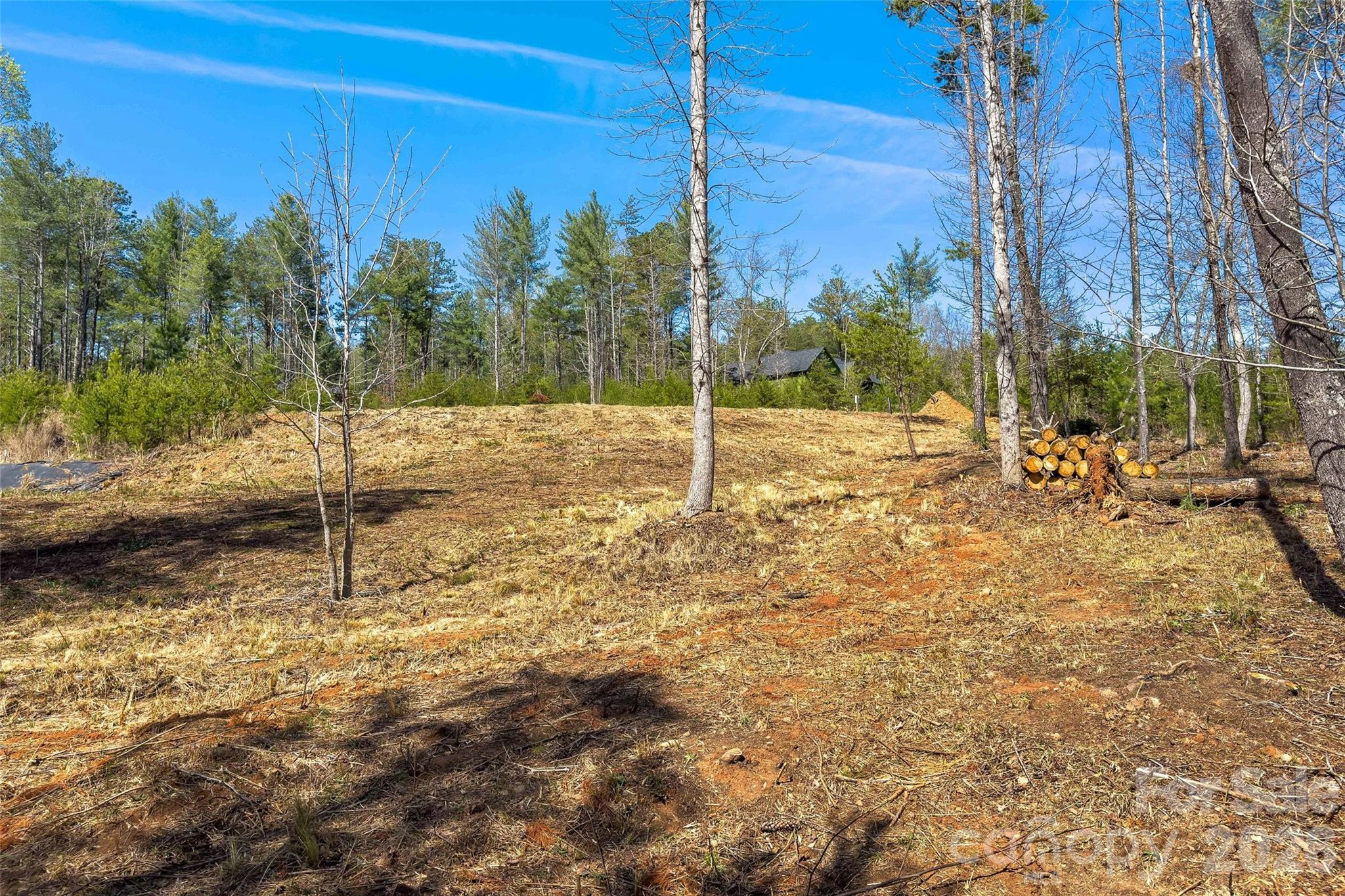 3107 Channel View Cove Morganton, NC 28655 - Photo 18 of 24 a backyard of a house with lots of green space