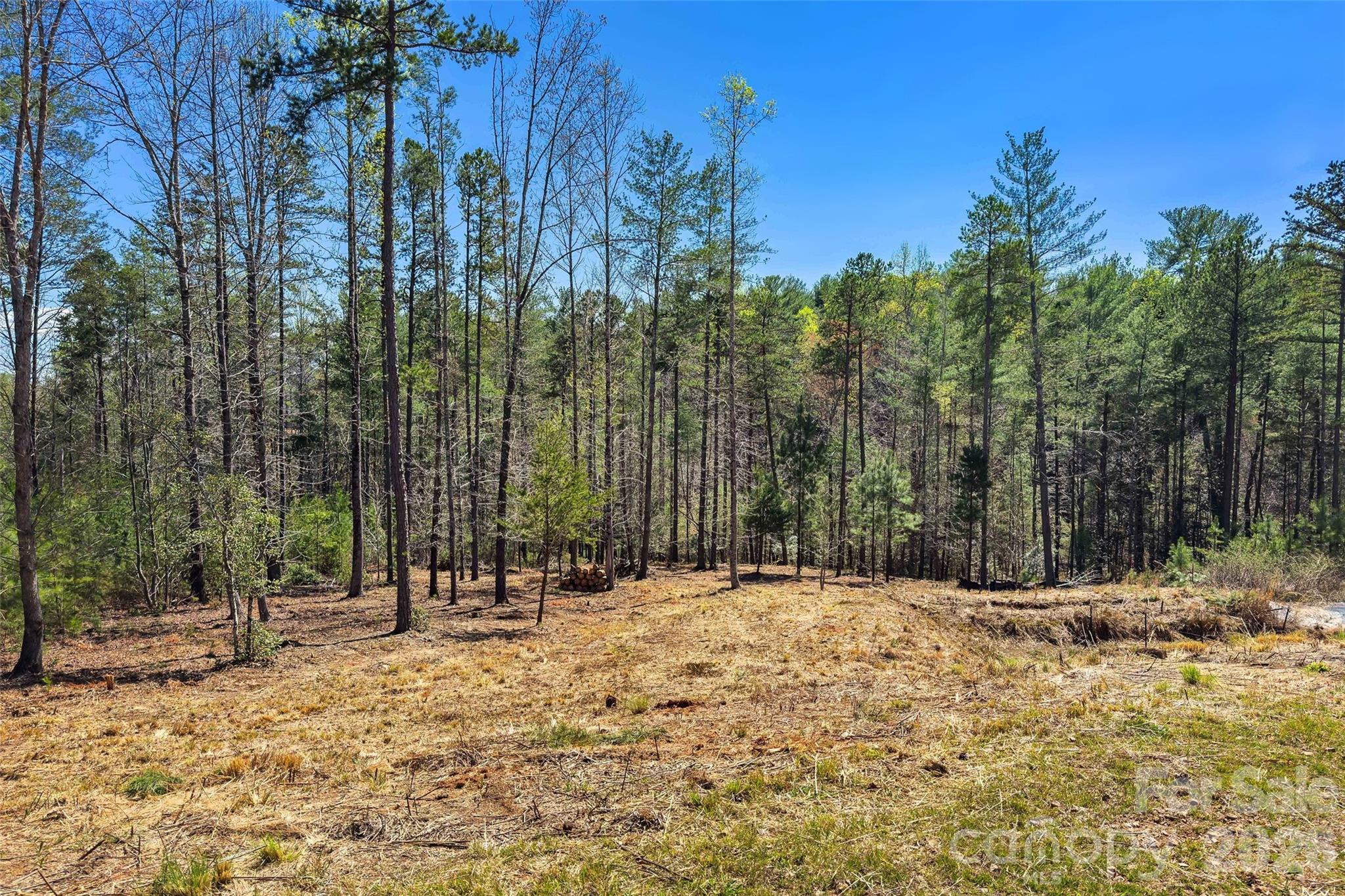 3107 Channel View Cove Morganton, NC 28655 - Photo 24 of 24 a view of outdoor space with trees