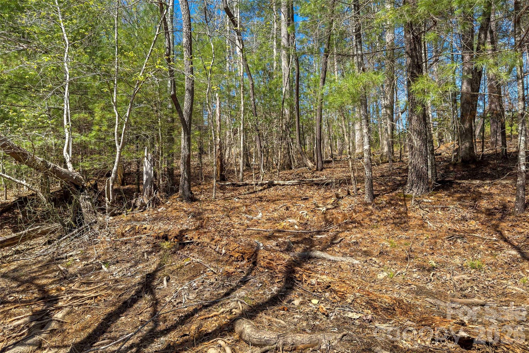 3107 Channel View Cove Morganton, NC 28655 - Photo 7 of 24 a backyard of a house with lots of green space