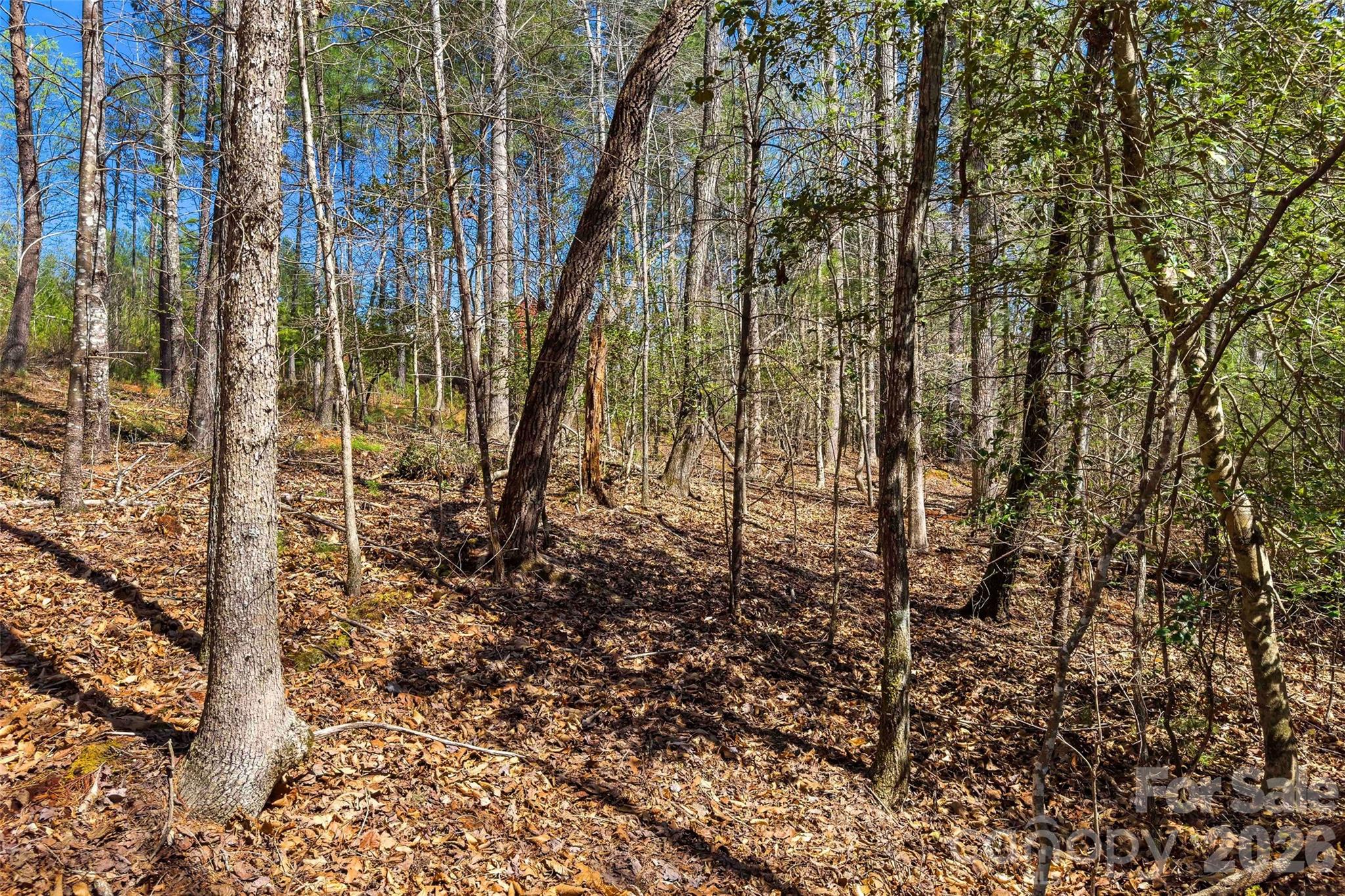 3107 Channel View Cove Morganton, NC 28655 - Photo 8 of 24 a view of yard