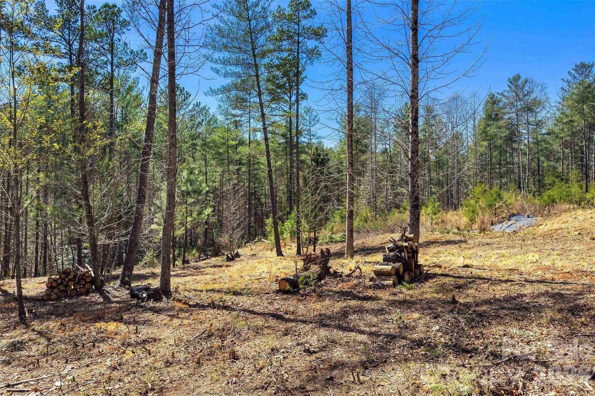 3107 Channel View Cove Morganton, NC 28655 - Photo 10 of 24 a view of a backyard with large trees