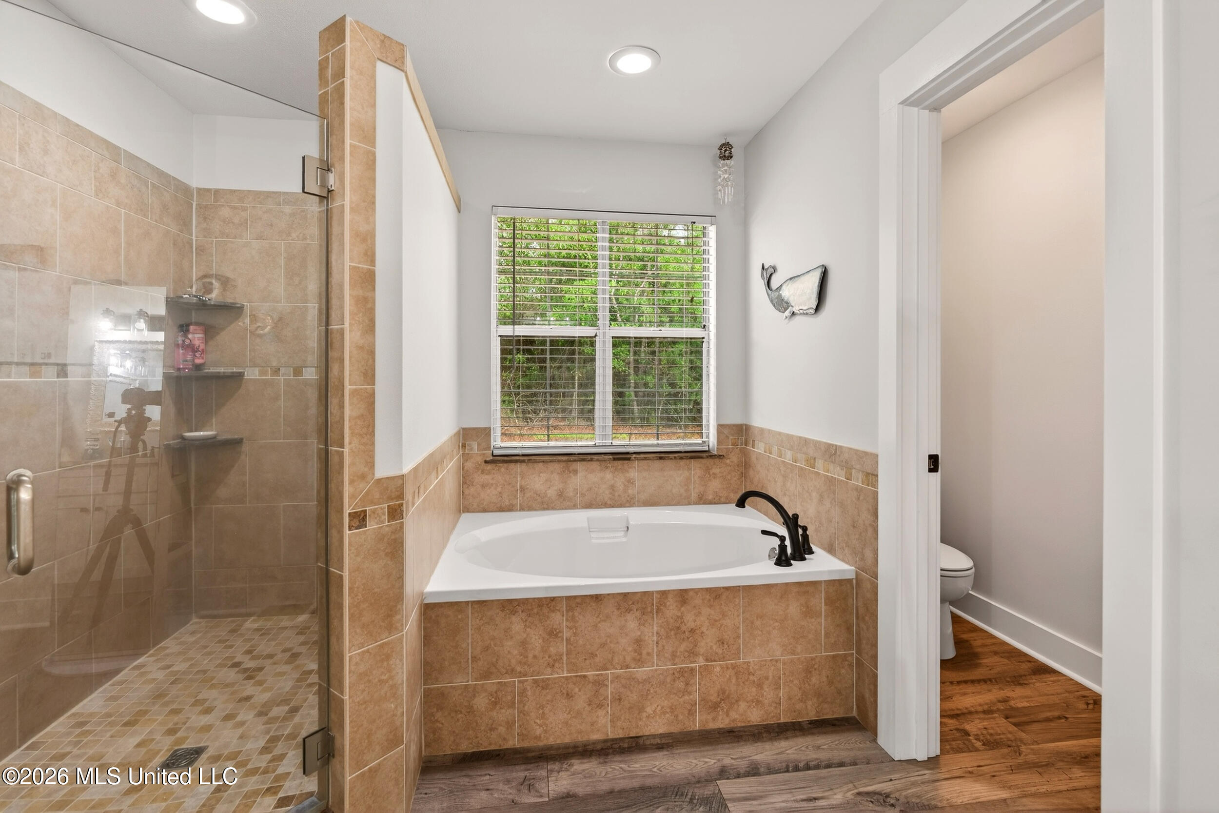 8007 Fishook Lane Picayune, MS 39466 - Photo 25 of 59 36_masterbathroom3.2