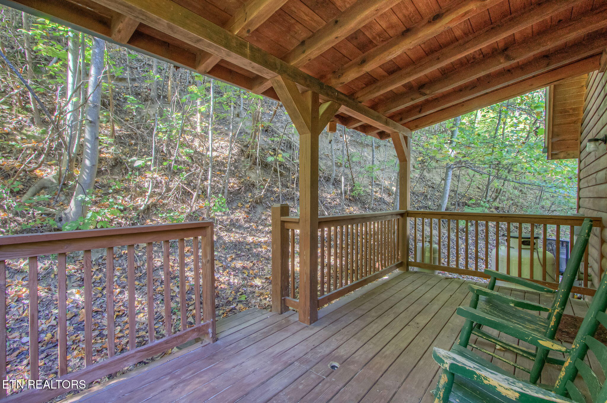 3514 Olde Tyme Way Sevierville, TN 37862 - Photo 19 of 46 IMG_5595