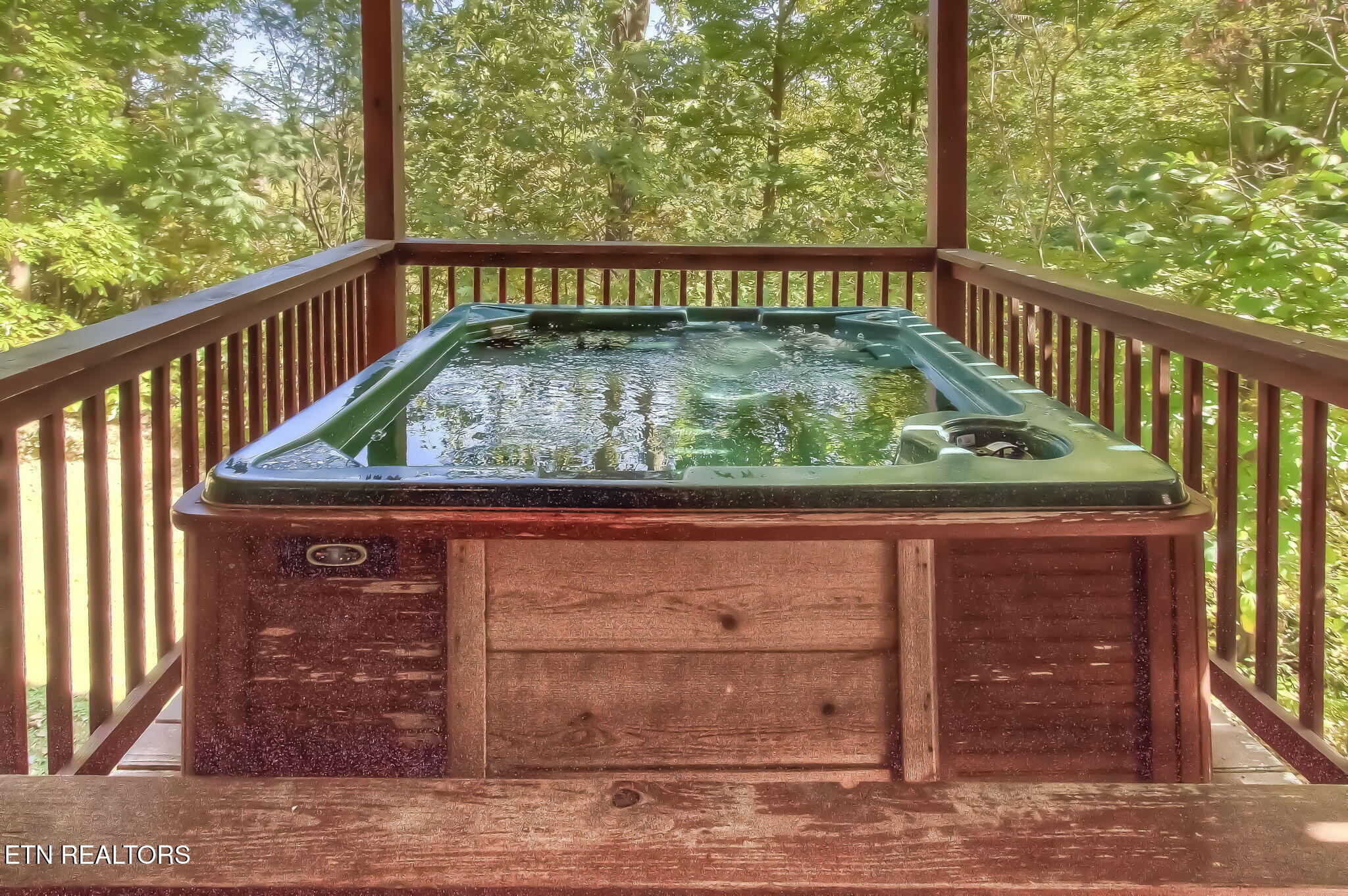 3514 Olde Tyme Way Sevierville, TN 37862 - Photo 41 of 46 IMG_8482