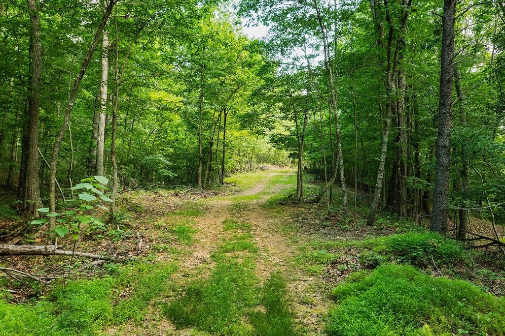 Tbd Calf Mountain Road Waynesboro, VA 22980 - Photo 21 of 36