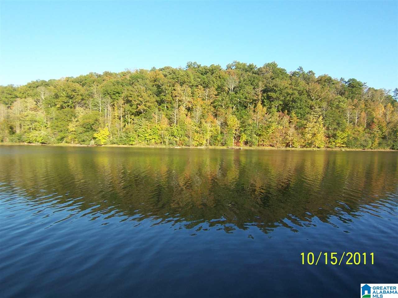 1420 County Road 201 Delta, AL 36258 - Photo 11 of 20