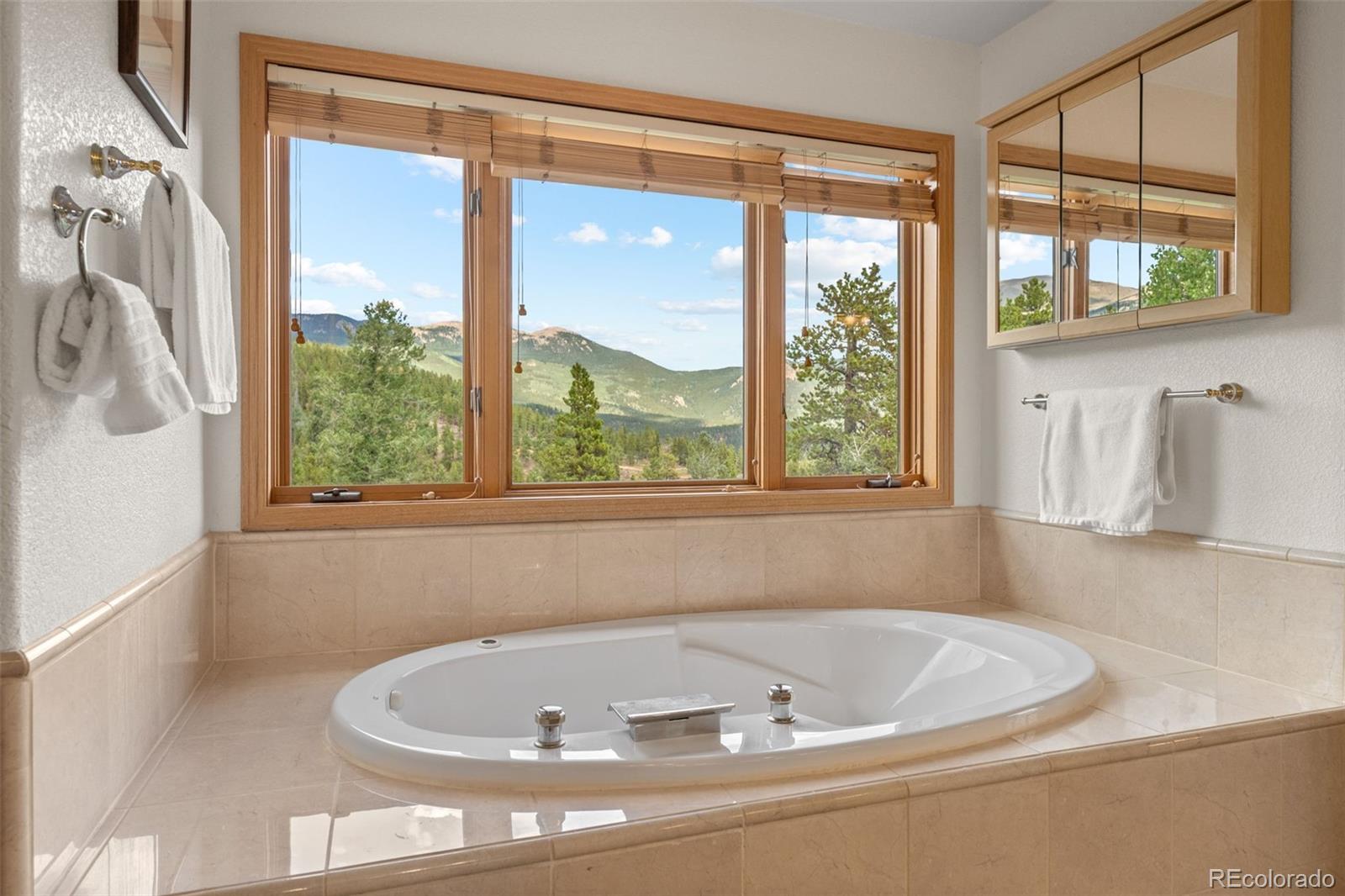 1363 Royal Ridge Drive Bailey, CO 80421 - Photo 33 of 50 Gallery Image 33