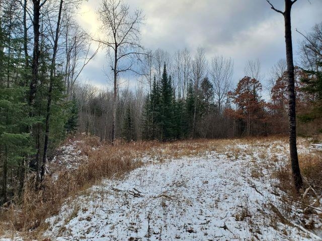 0 Sage Lake Road Lupton, MI 48635 - Photo 4 of 7
