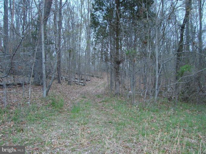 Jamesons Mill Road Culpeper, VA 22701 - Photo 3 of 3 Other #2