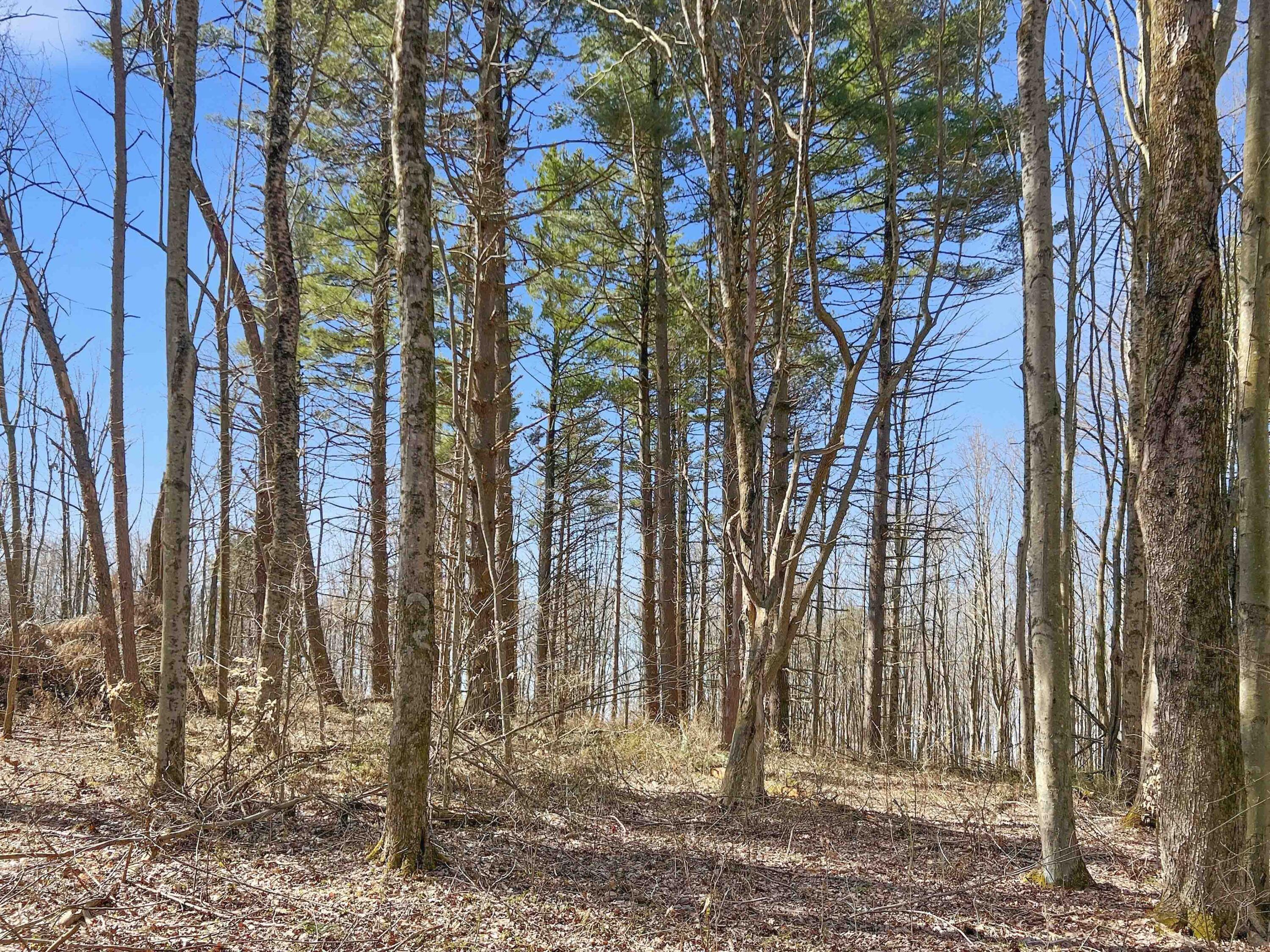 22470 Griffith Road Logan, OH 43138 - Photo 1 of 29 Griffith Rd-1