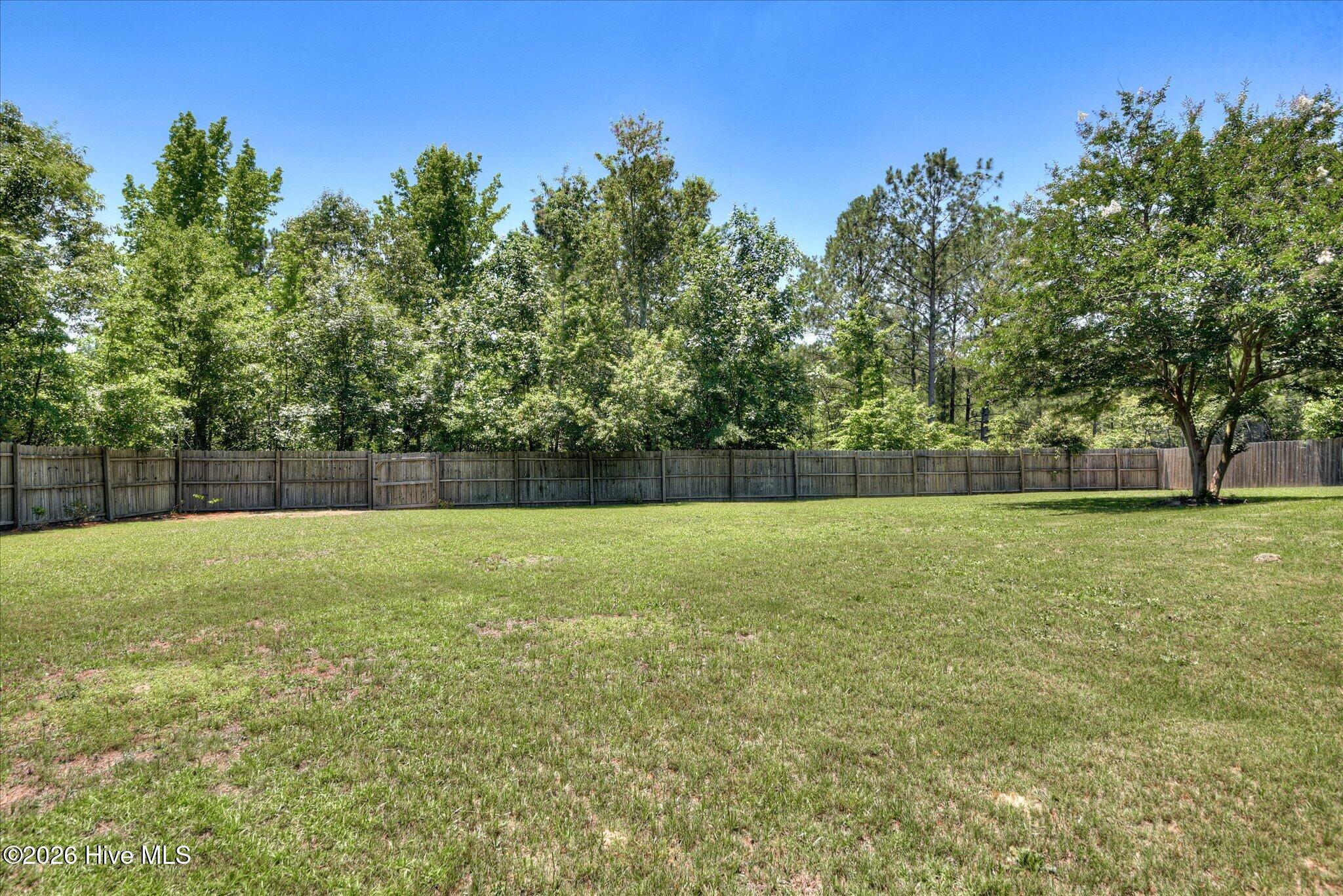 1146 Oxpens Road Warrenville, SC 29851 - Photo 28 of 33
