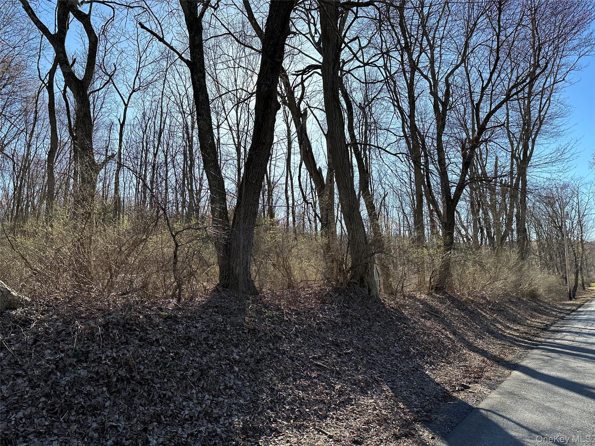 Schoolhouse Road Staatsburg, NY 12580 - Photo 2 of 10 a big yard with lots of green space