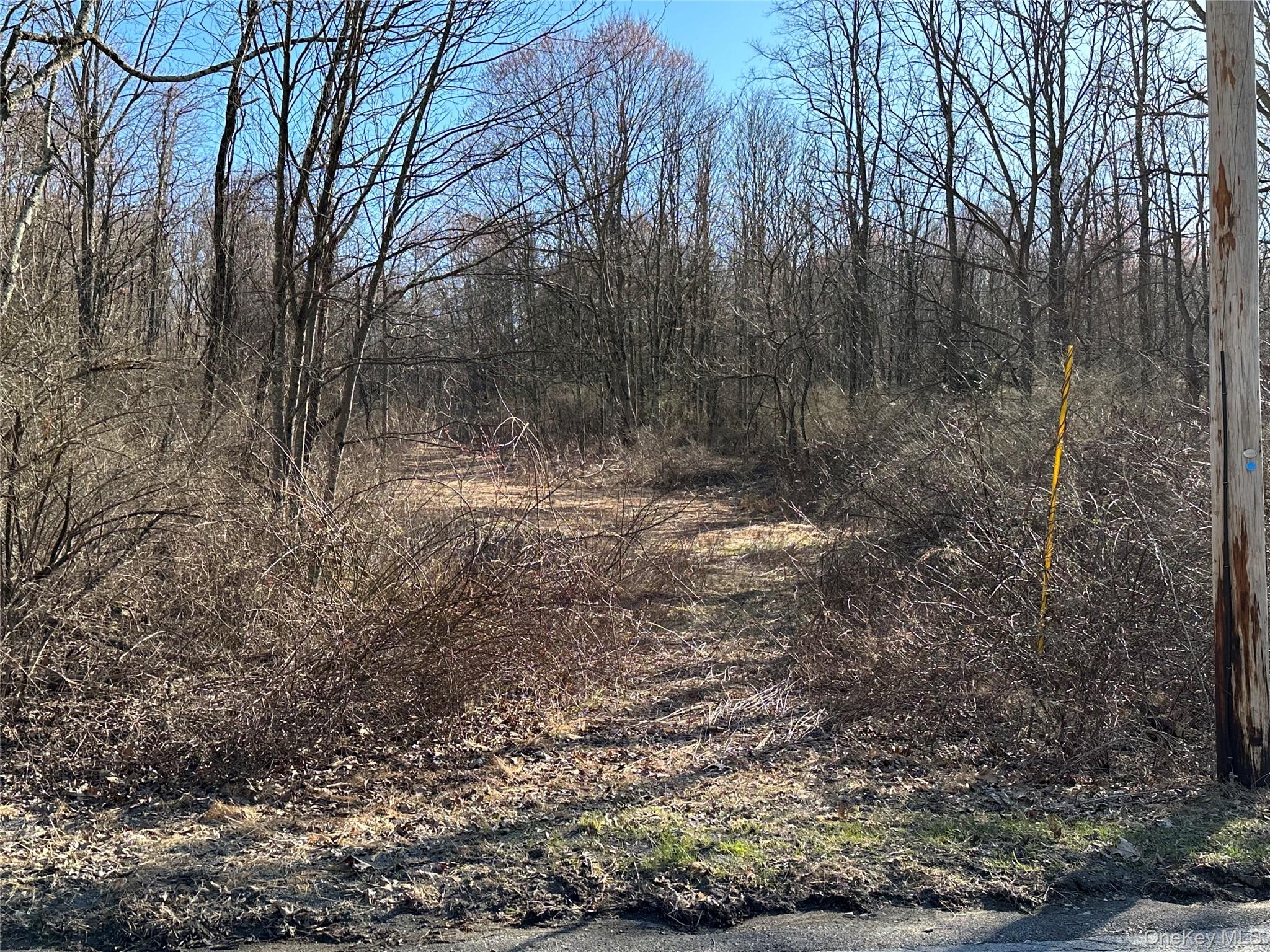Schoolhouse Road Staatsburg, NY 12580 - Photo 4 of 10 a view of outdoor space and a yard