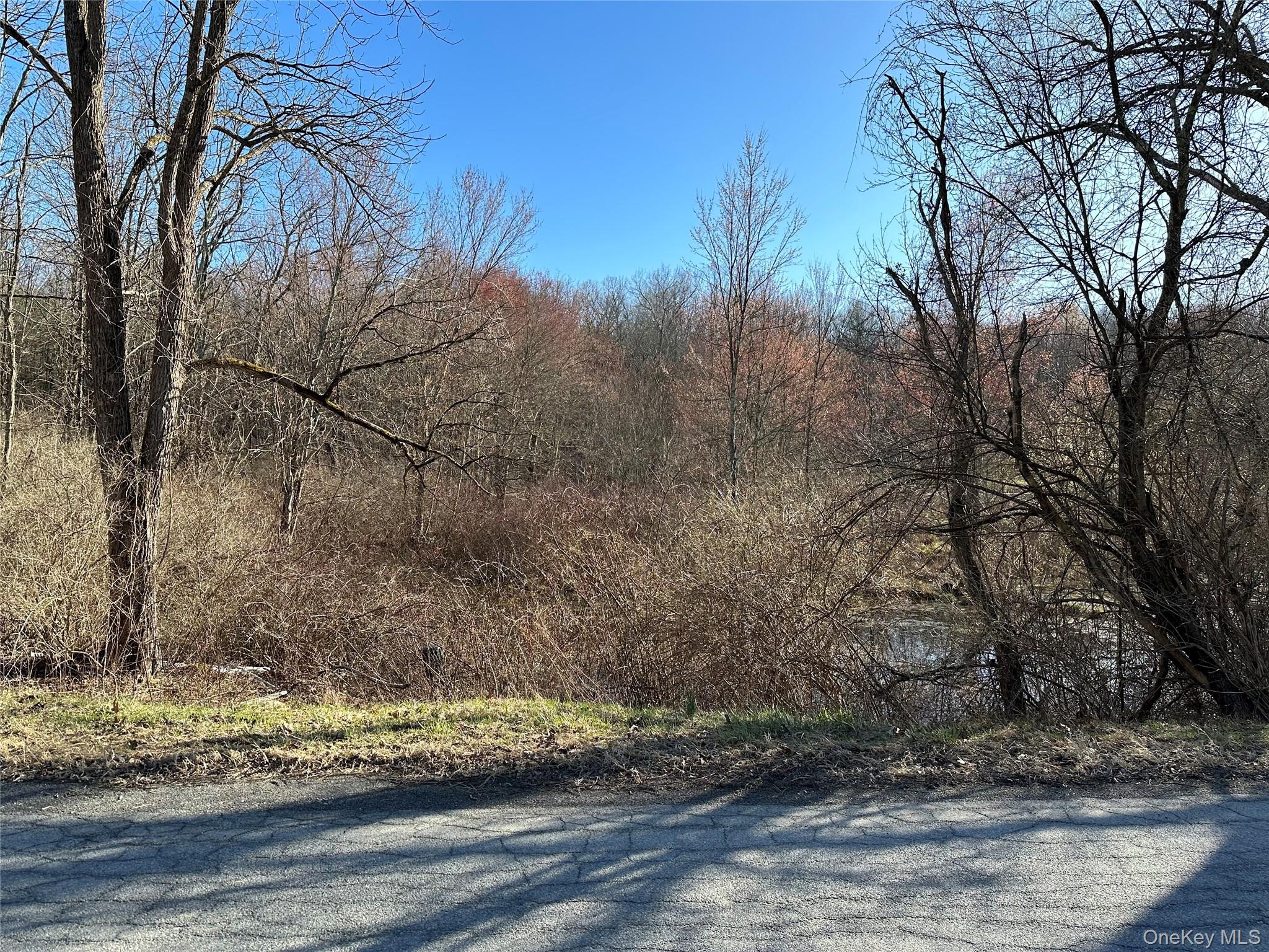 Schoolhouse Road Staatsburg, NY 12580 - Photo 5 of 10 a view of a yard with wooden fence